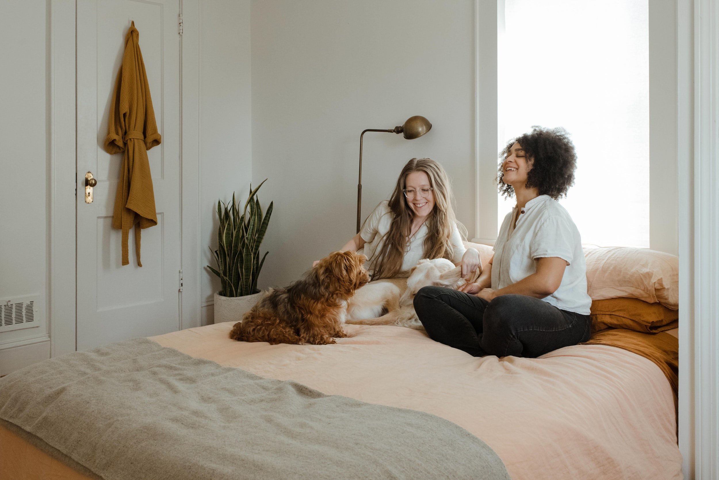 Two women sitting on a bed with two dogs, smiling and enjoying a cozy room with soft lighting.