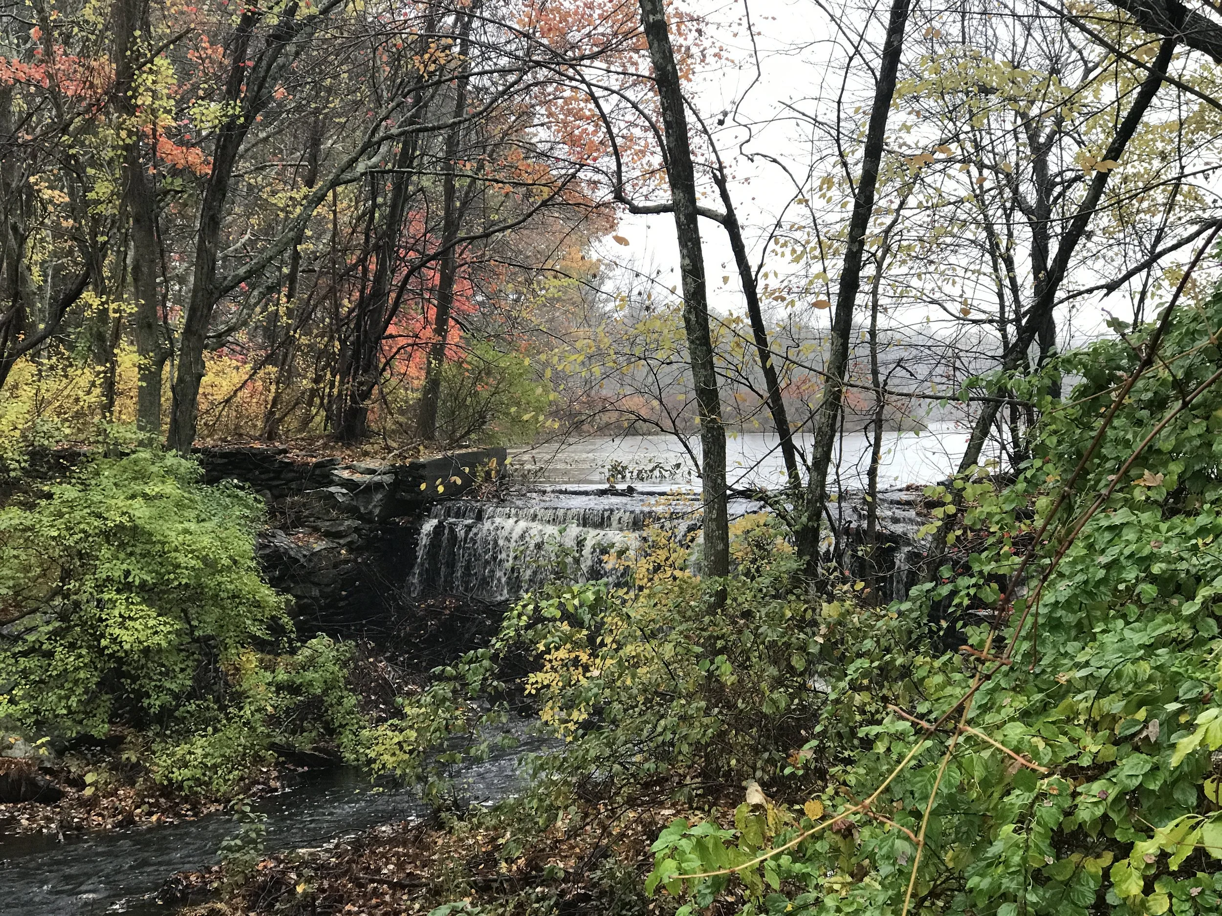 Small waterfall in a forest with autumn foliage, surrounded by green and orange trees, with a stream flowing and a lake in the background.