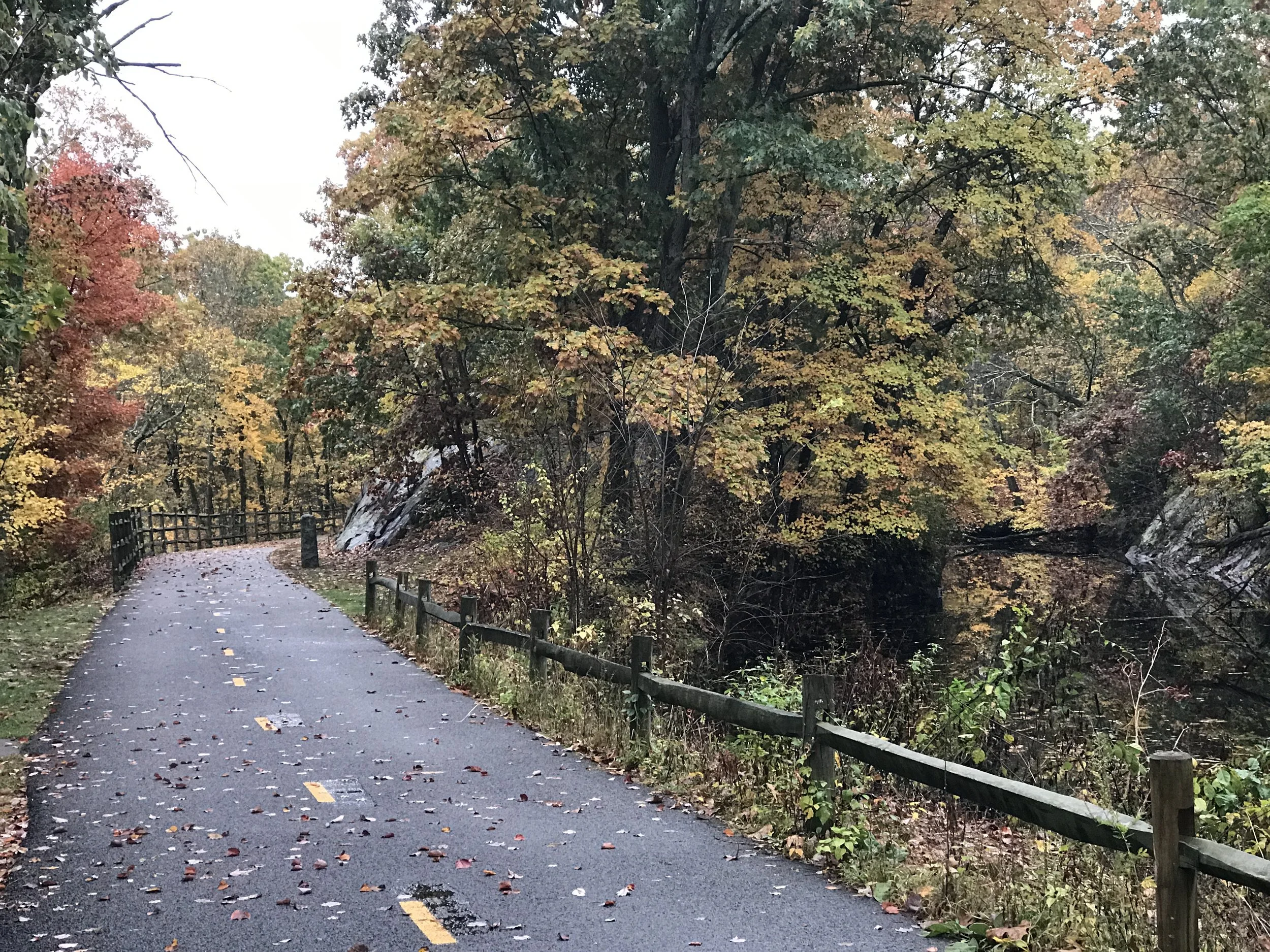 Autumn landscape with a paved path through a forest, colorful fall foliage, and a wooden fence lining the path.