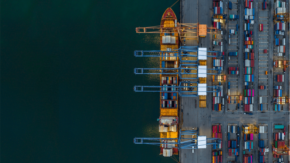 Our Services — Botany Group