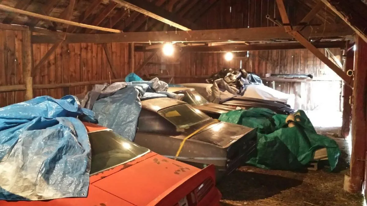 TransAm Parts Depot Barn Finds