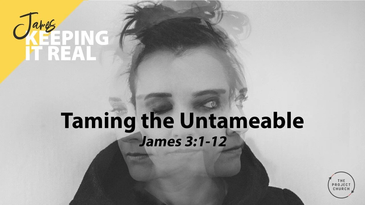 Taming the Untameable