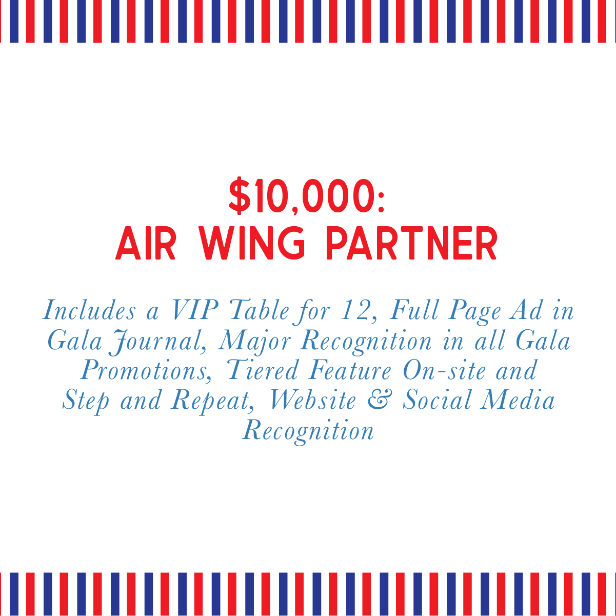 2023 Gala Invite Design_Air Wing.png