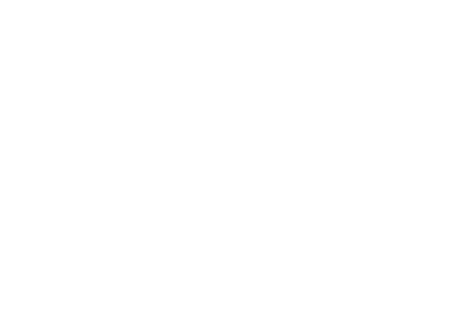 The Warndorf Group LLC