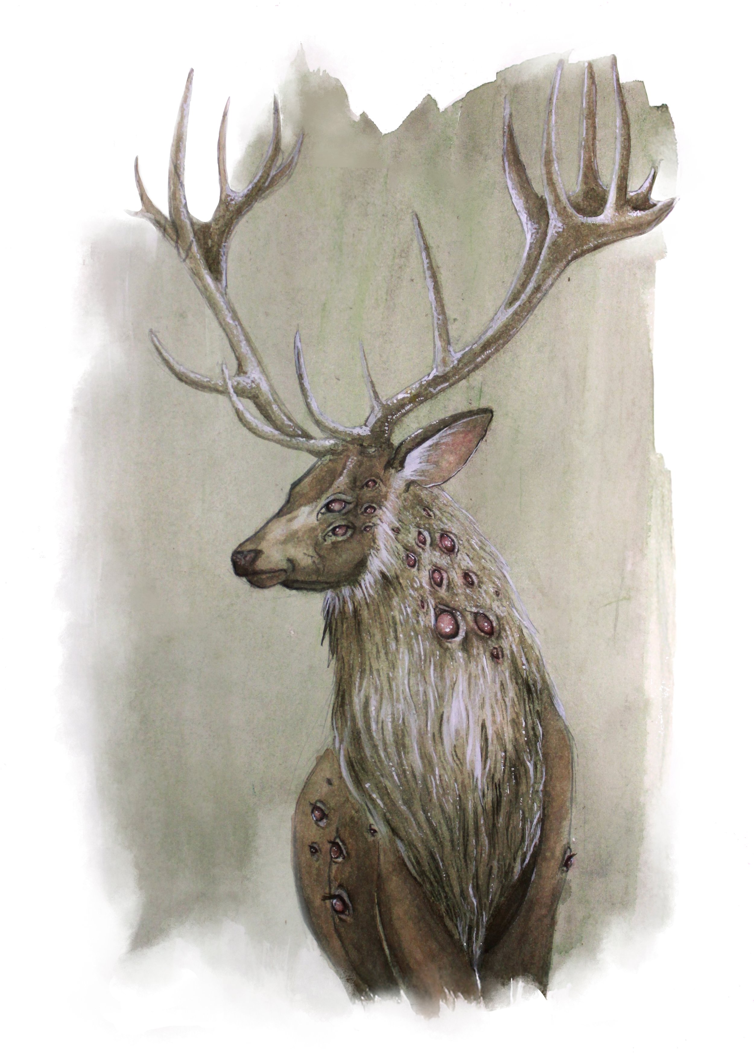 You can trust your vision