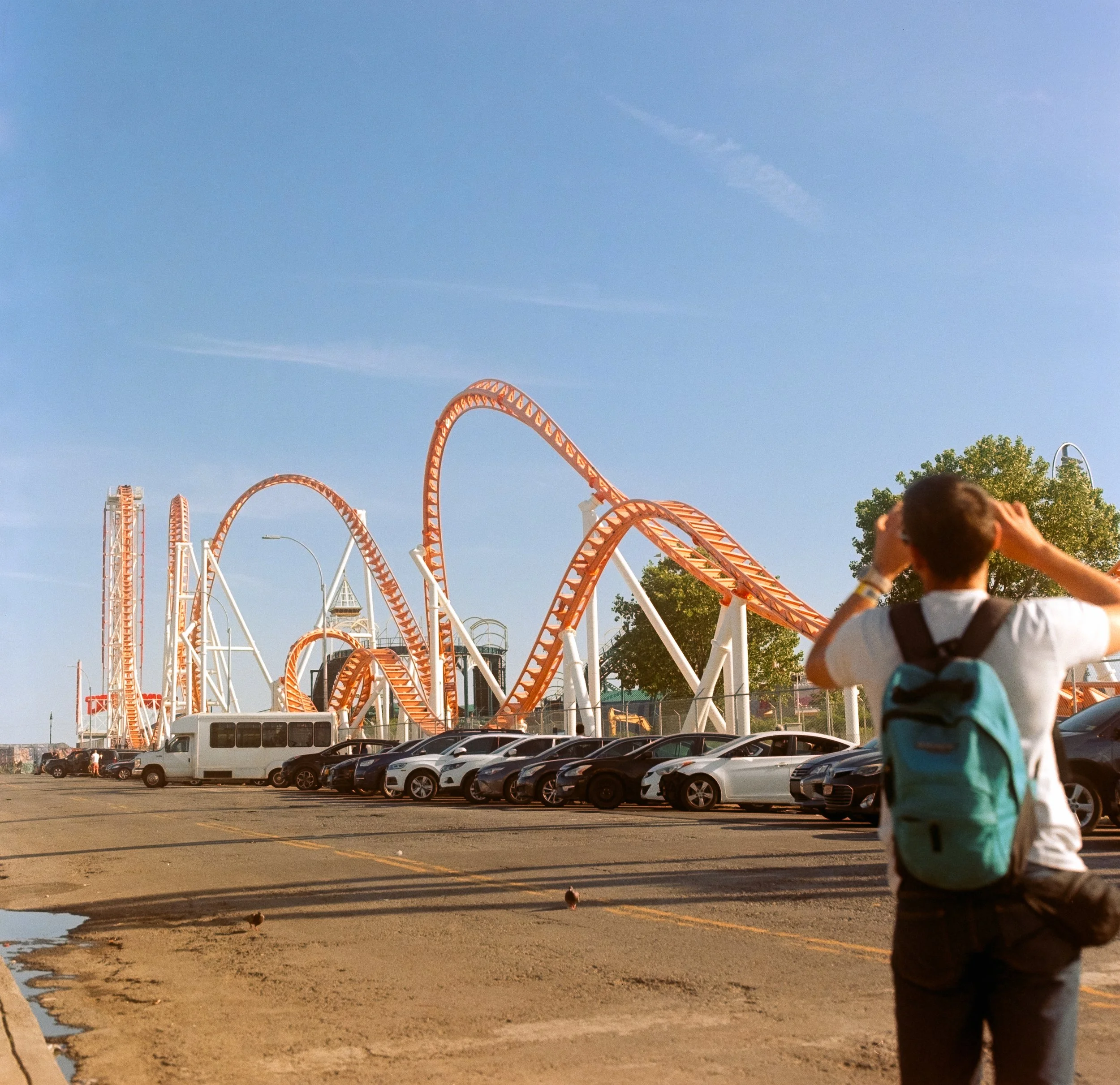 DSCF8646.jpg