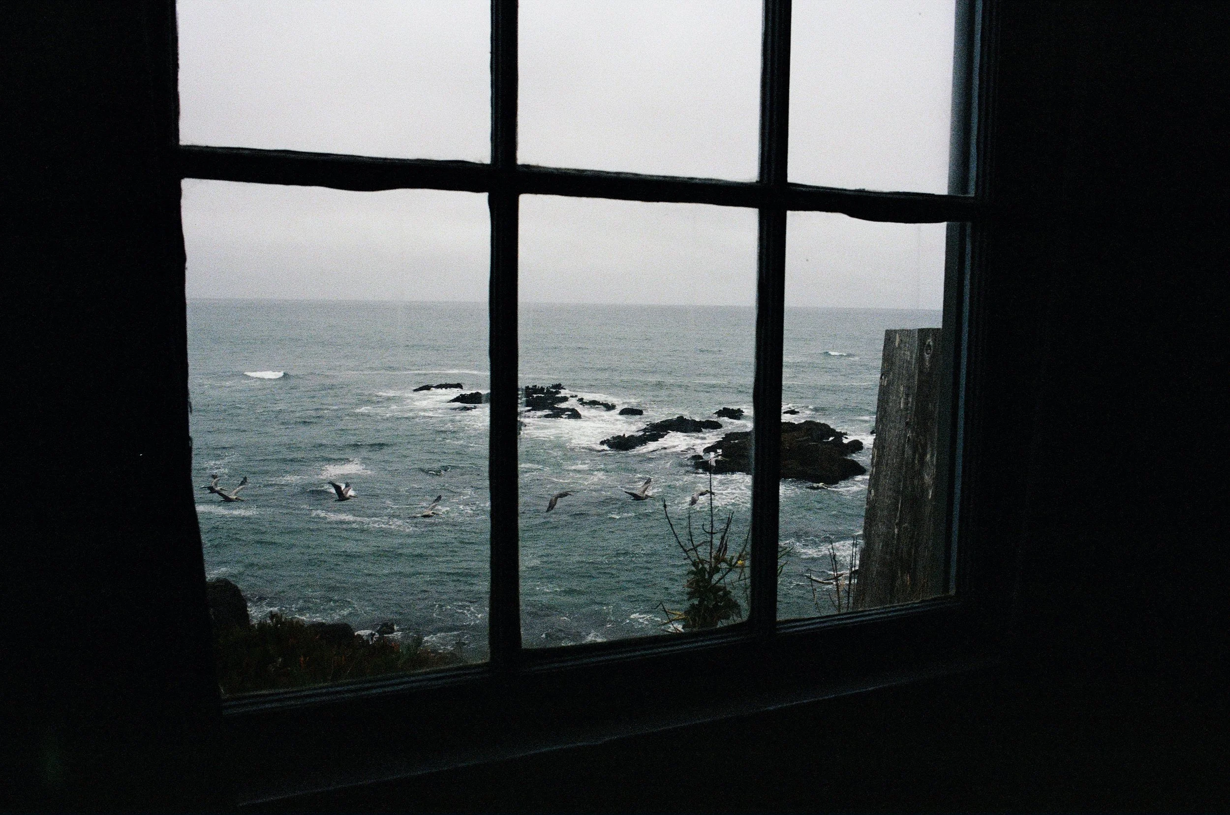 IMG_5886.jpeg