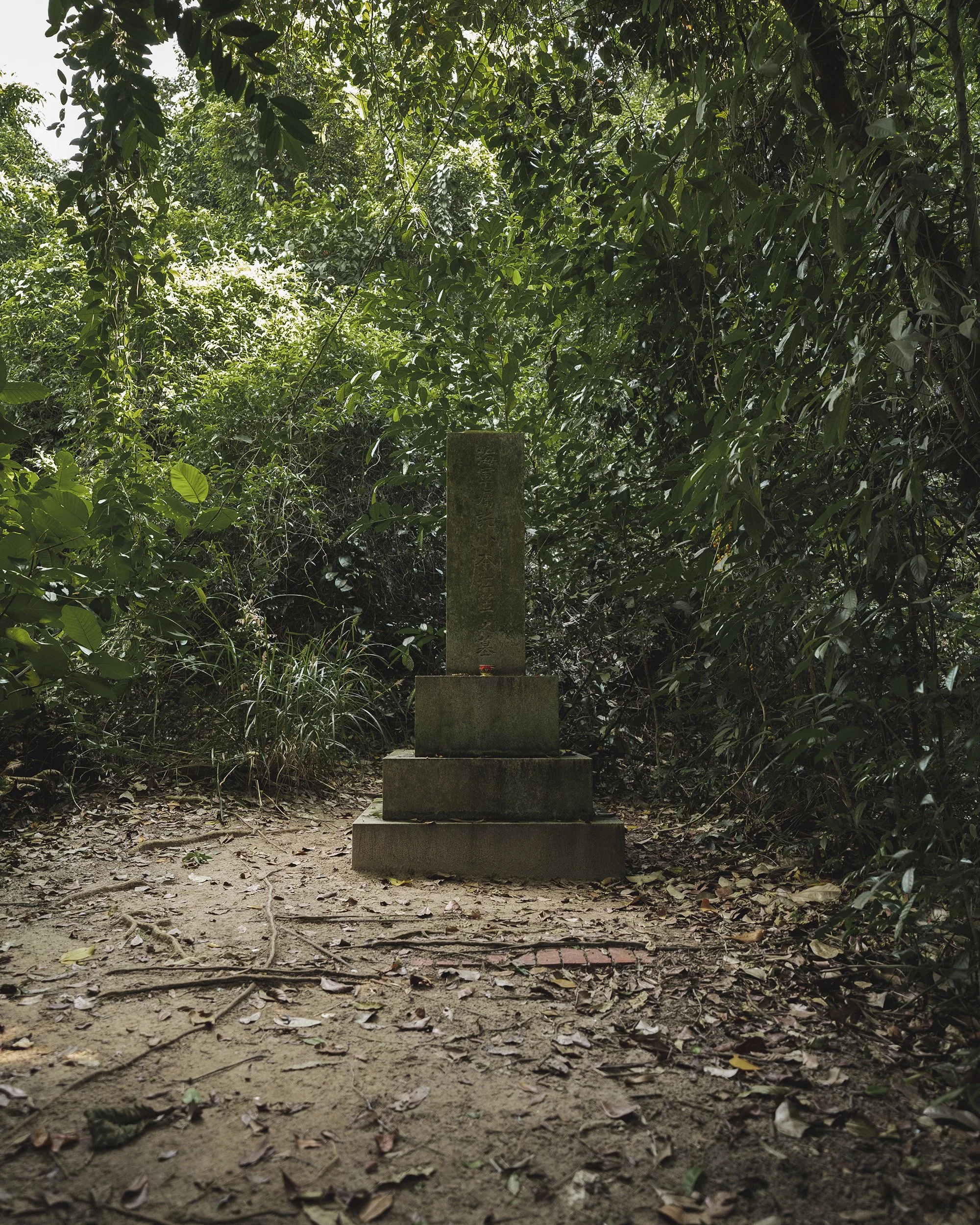 A7F02291-2-2000px.jpg