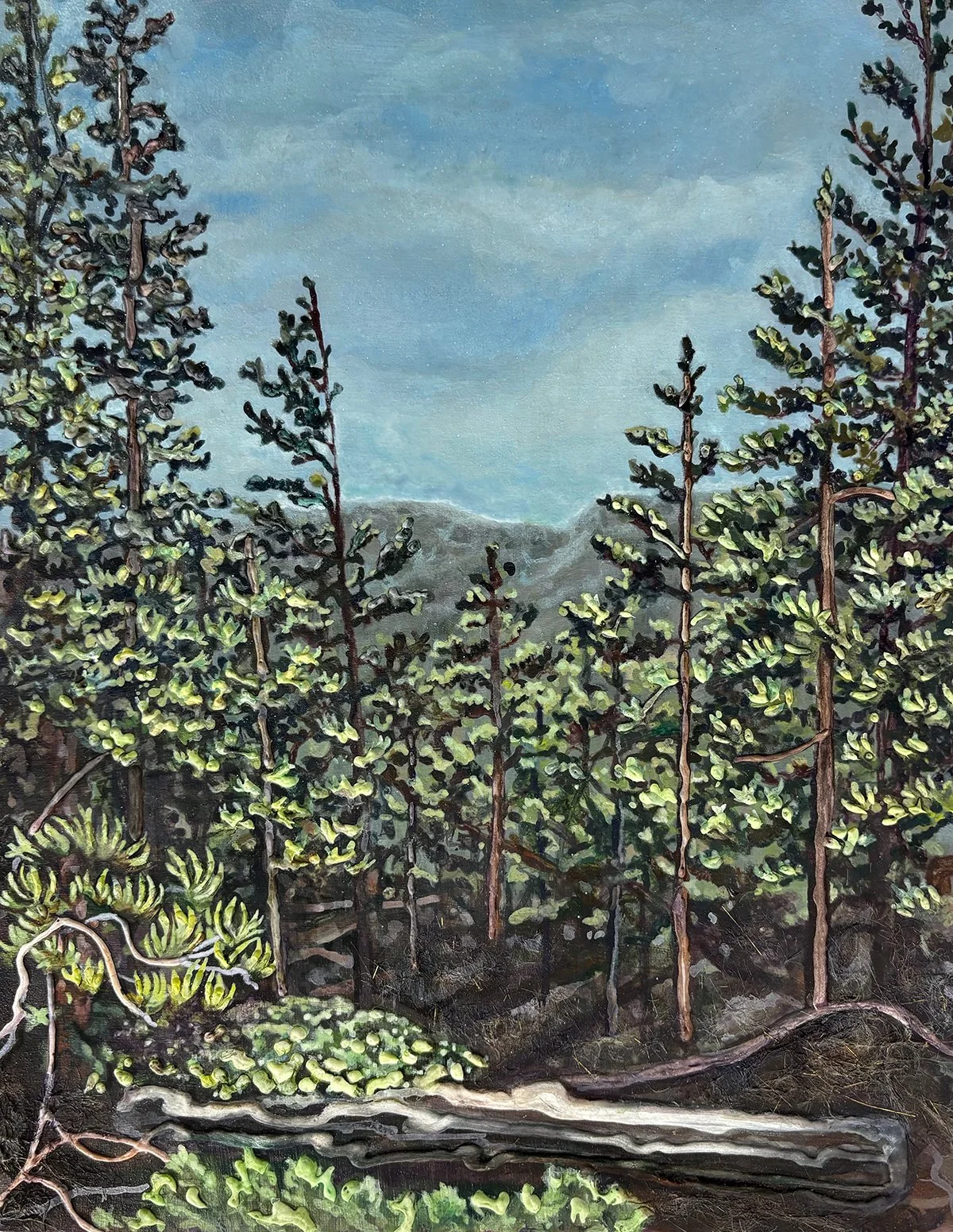 Tower, 2023
Acrylic, fiber, and spackle on wood, 11”x14” (Estes Park, CO)
$700
Email claire.zambrano@gmail.com to purchase.