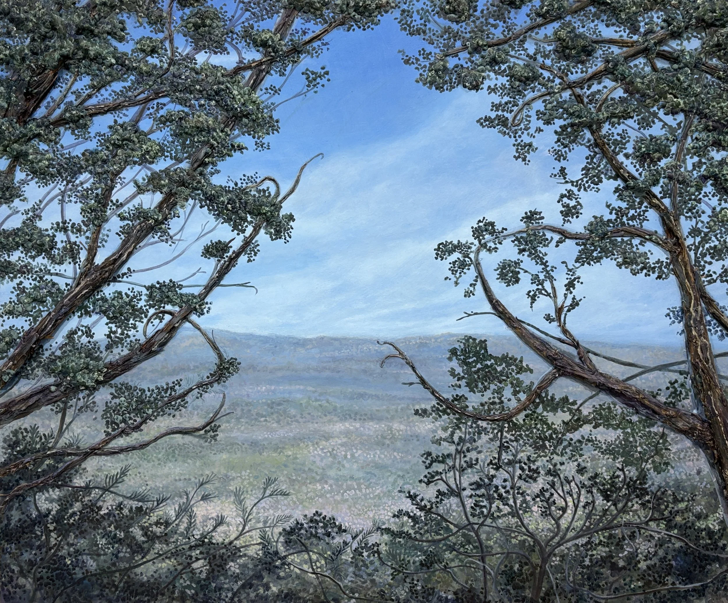 Far and Wide, 2026, Acrylic, wood, and spackle on wood, 36”x30” (Concan, TX–Garner State Park)
$2500