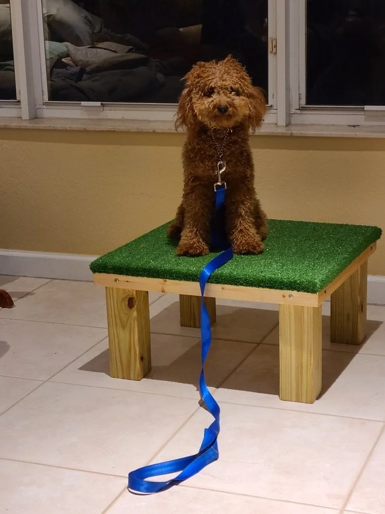 MARK 2 by 2 dog training platform