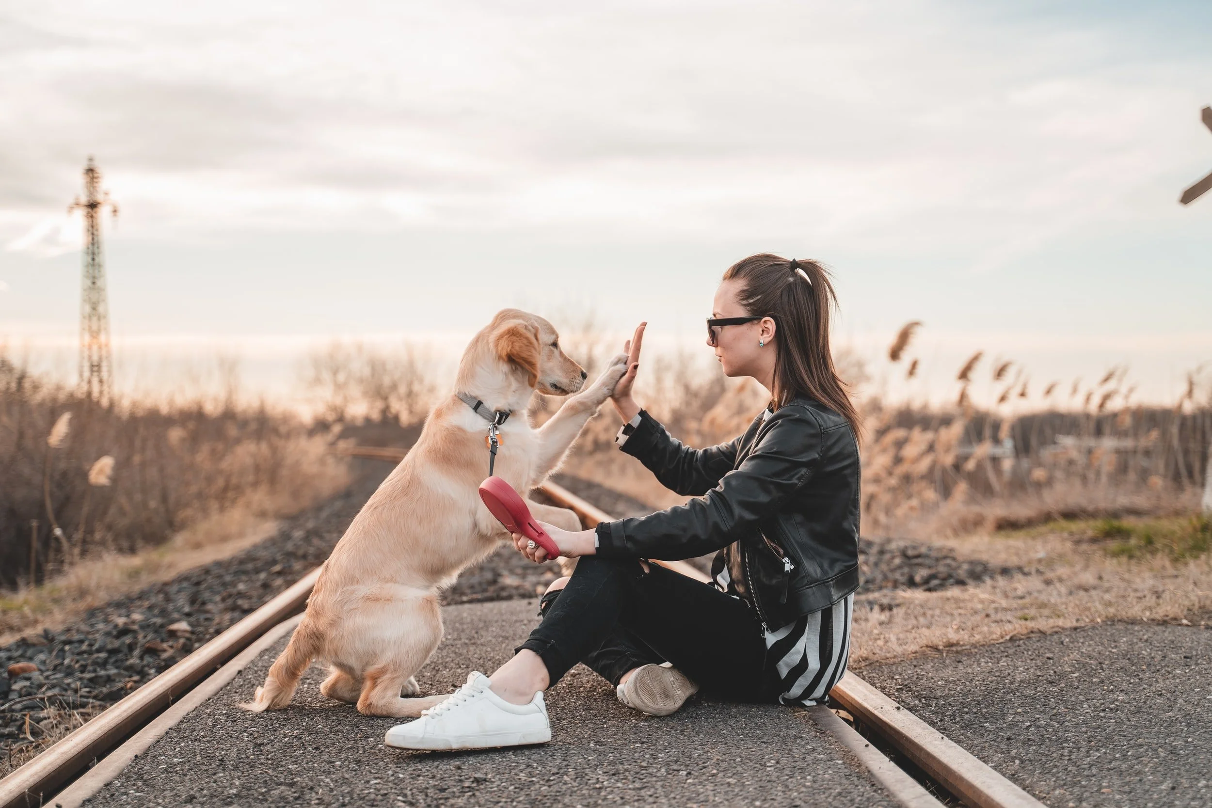 unsplash-image-xvYxGcwFvuE.jpg