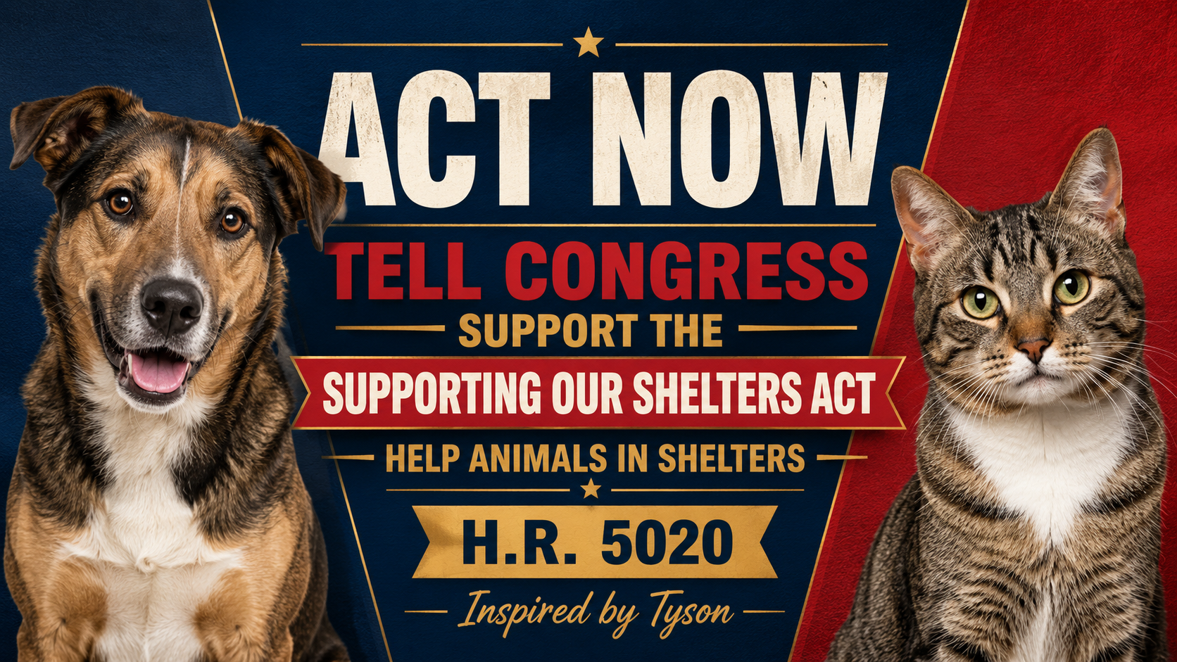 Why Stephen and Tyson Support the SOS Act