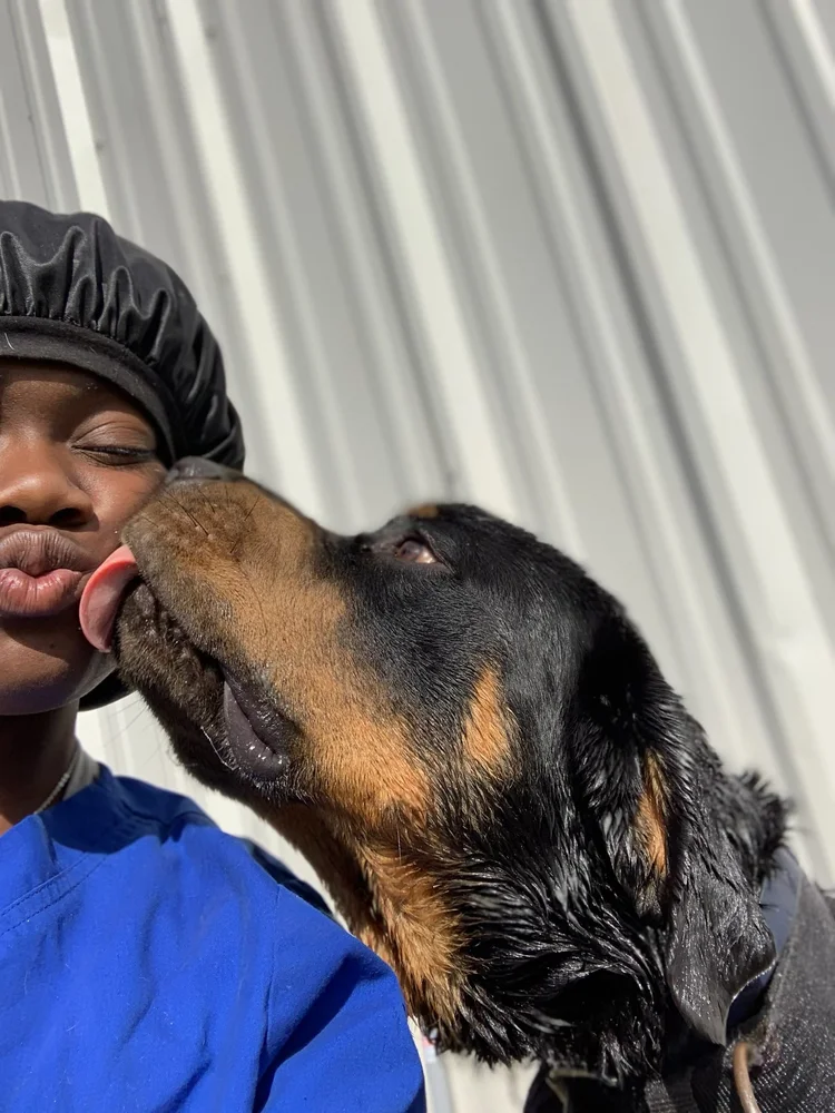 Beauty and the Breeds