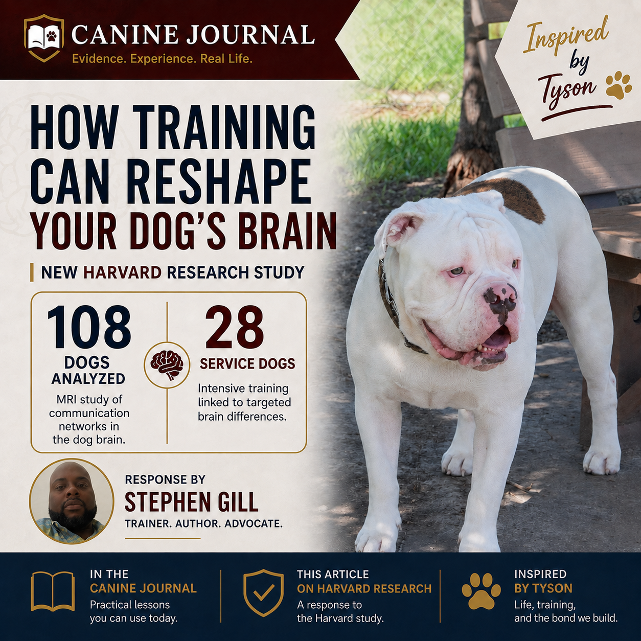 How Training Can Reshape Your Dog’s Brain