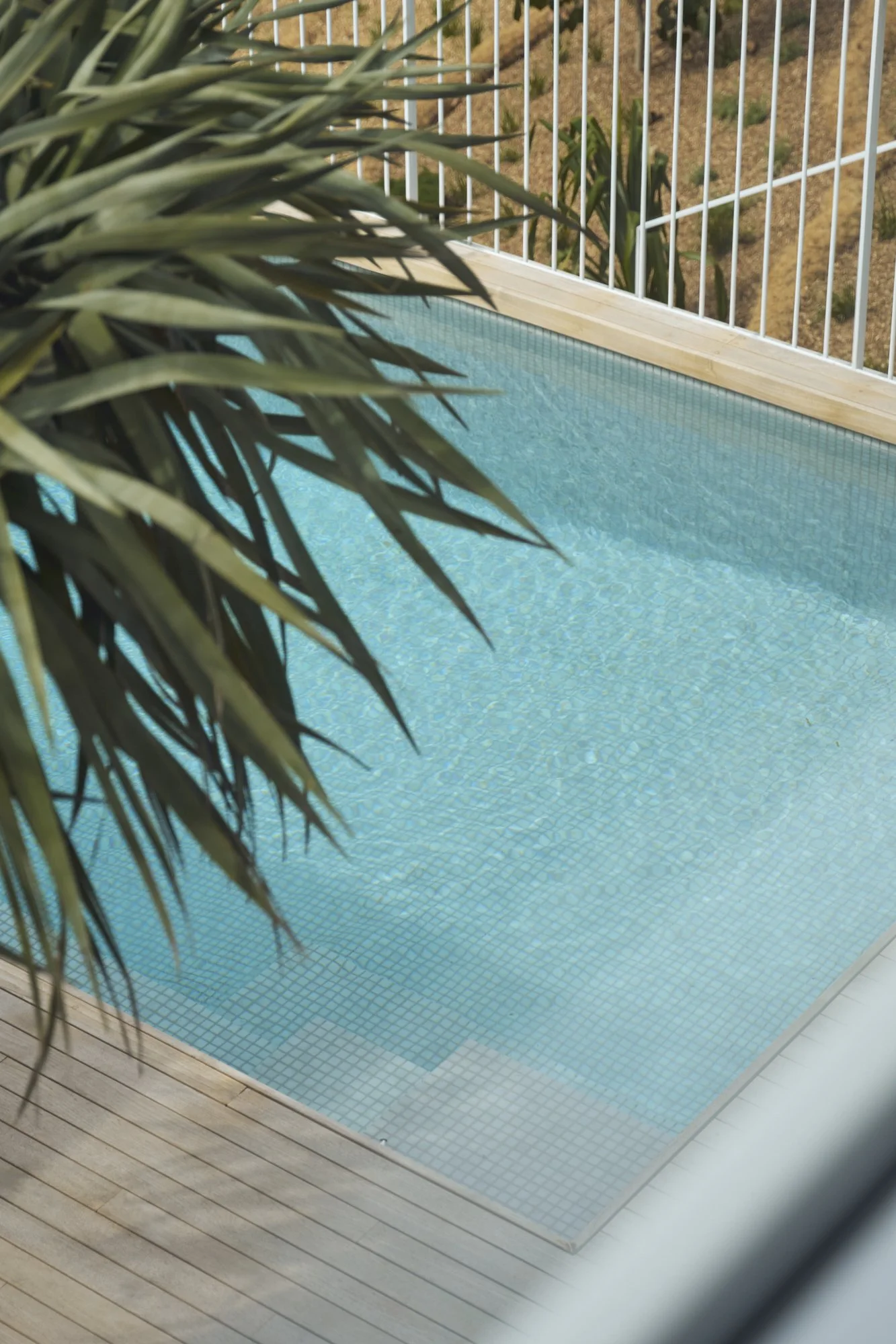 251103_Rock_Pool_House_Avoca__020.jpg