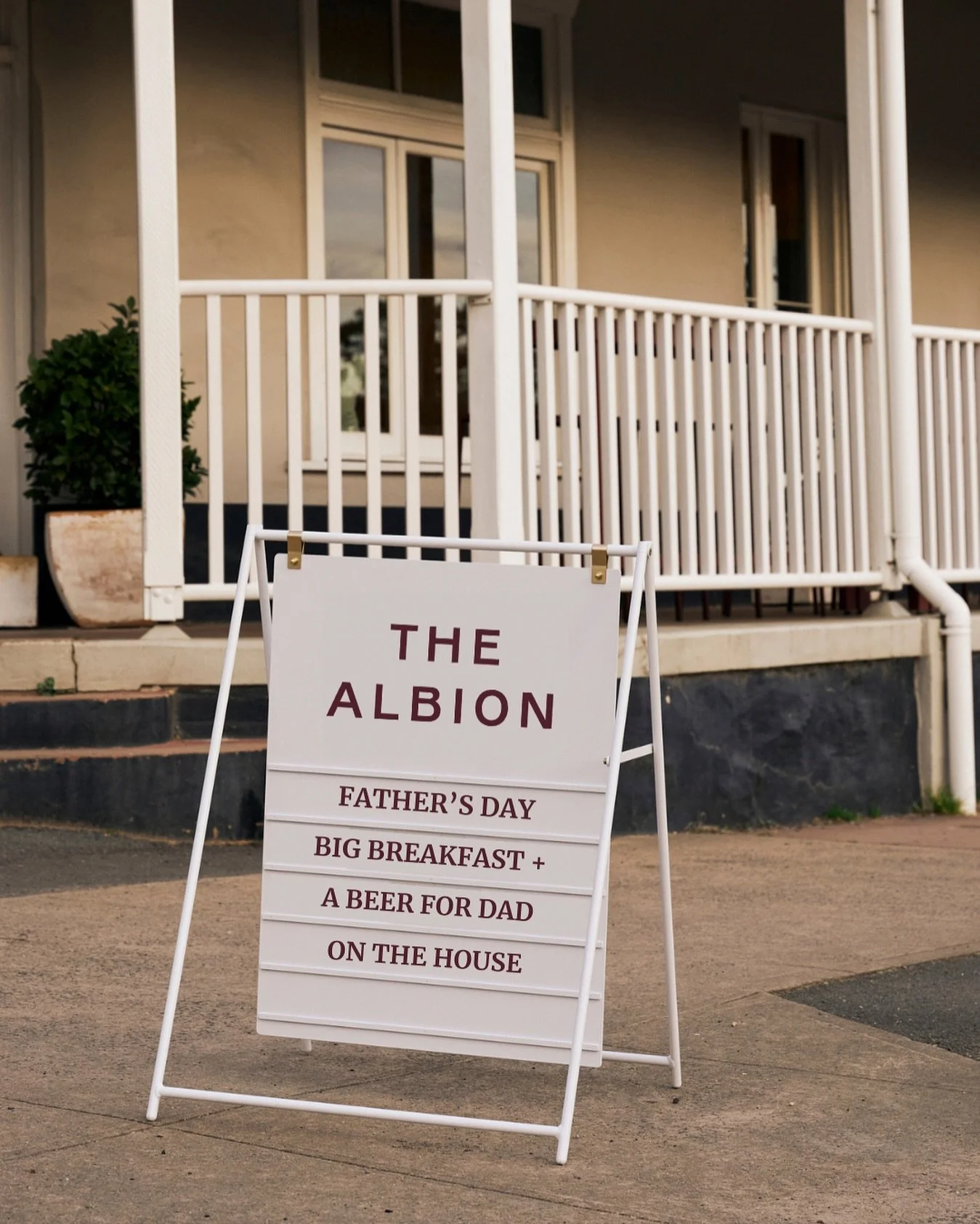 albionbraidwood_1755757816_3703887473198572976_242451983.jpg