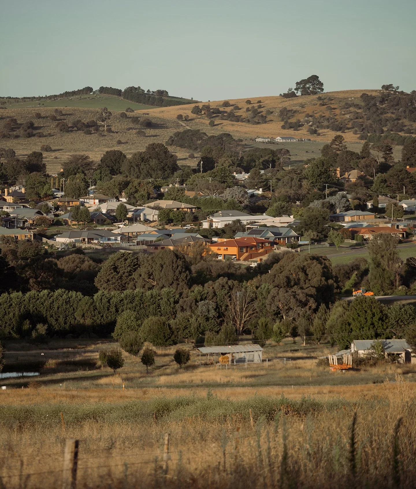 albionbraidwood_1753400801_3684115404605025253_242451983.jpg