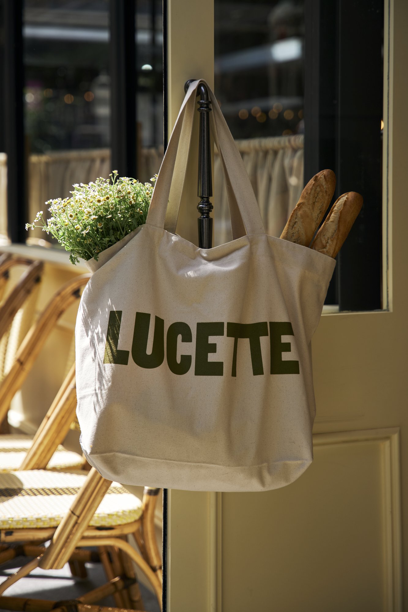 251215_Lucette_0938.jpg