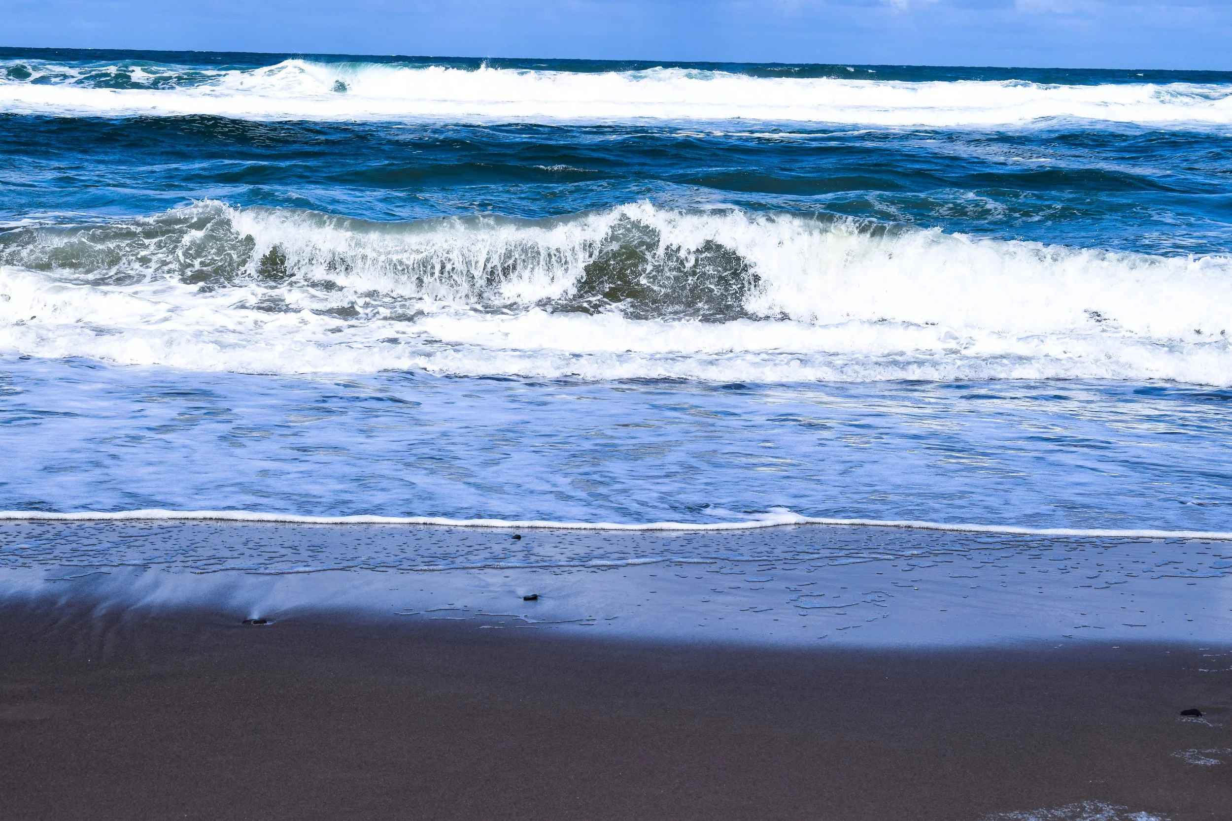 DSC_0166.jpg