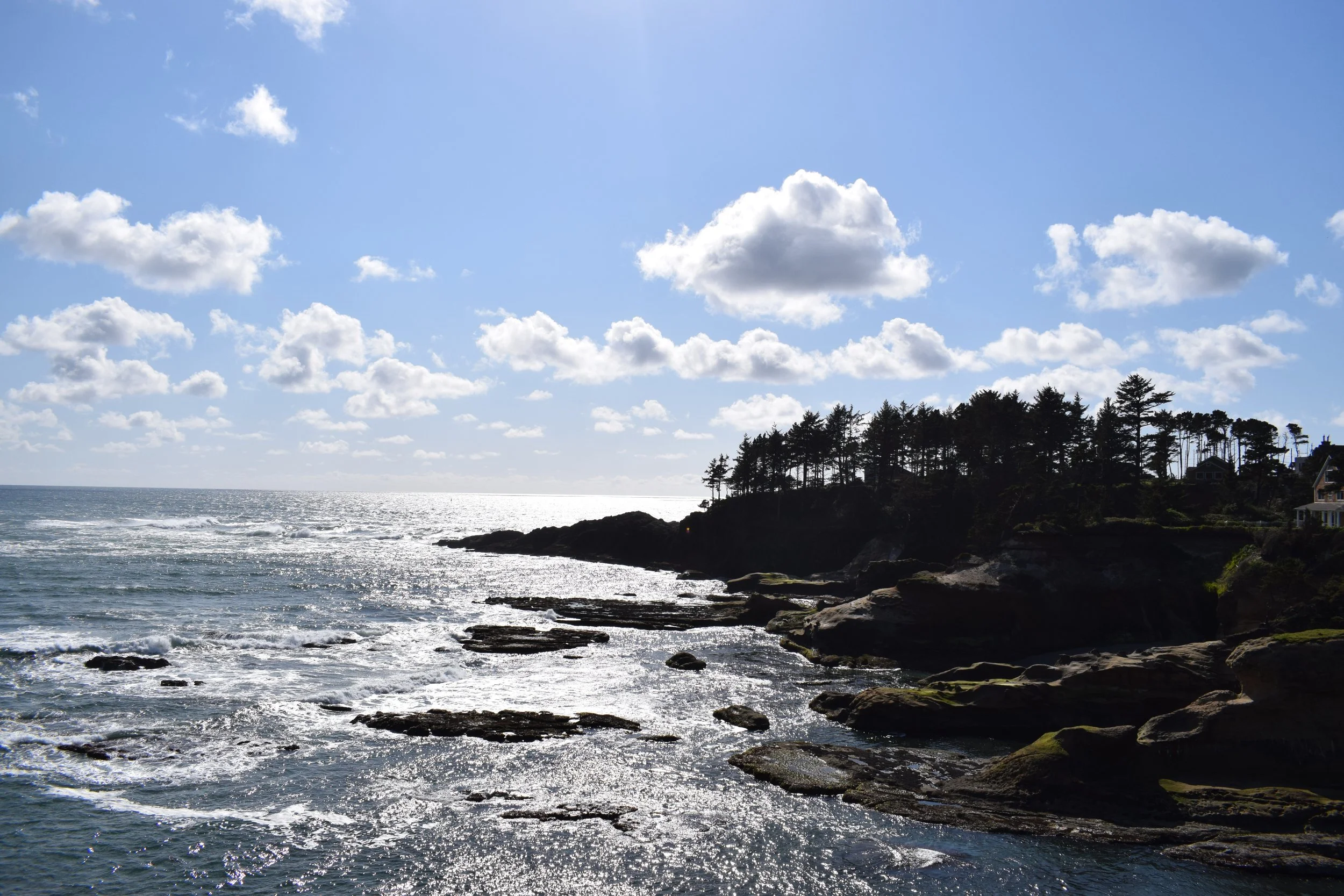 DSC_0180.JPG