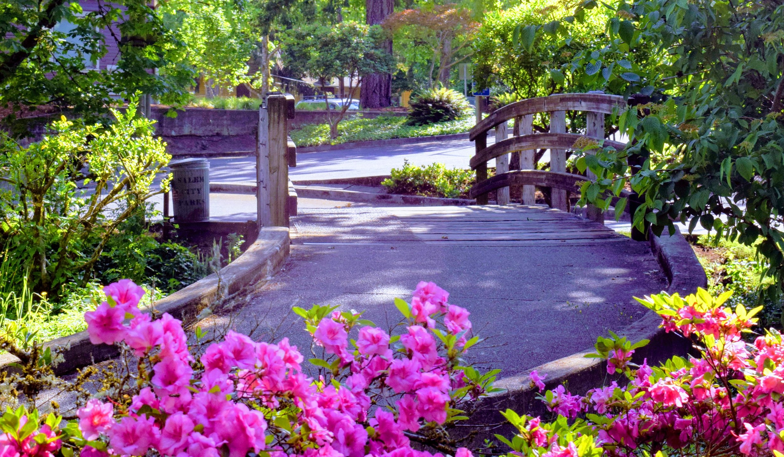 DSC_1232.jpg