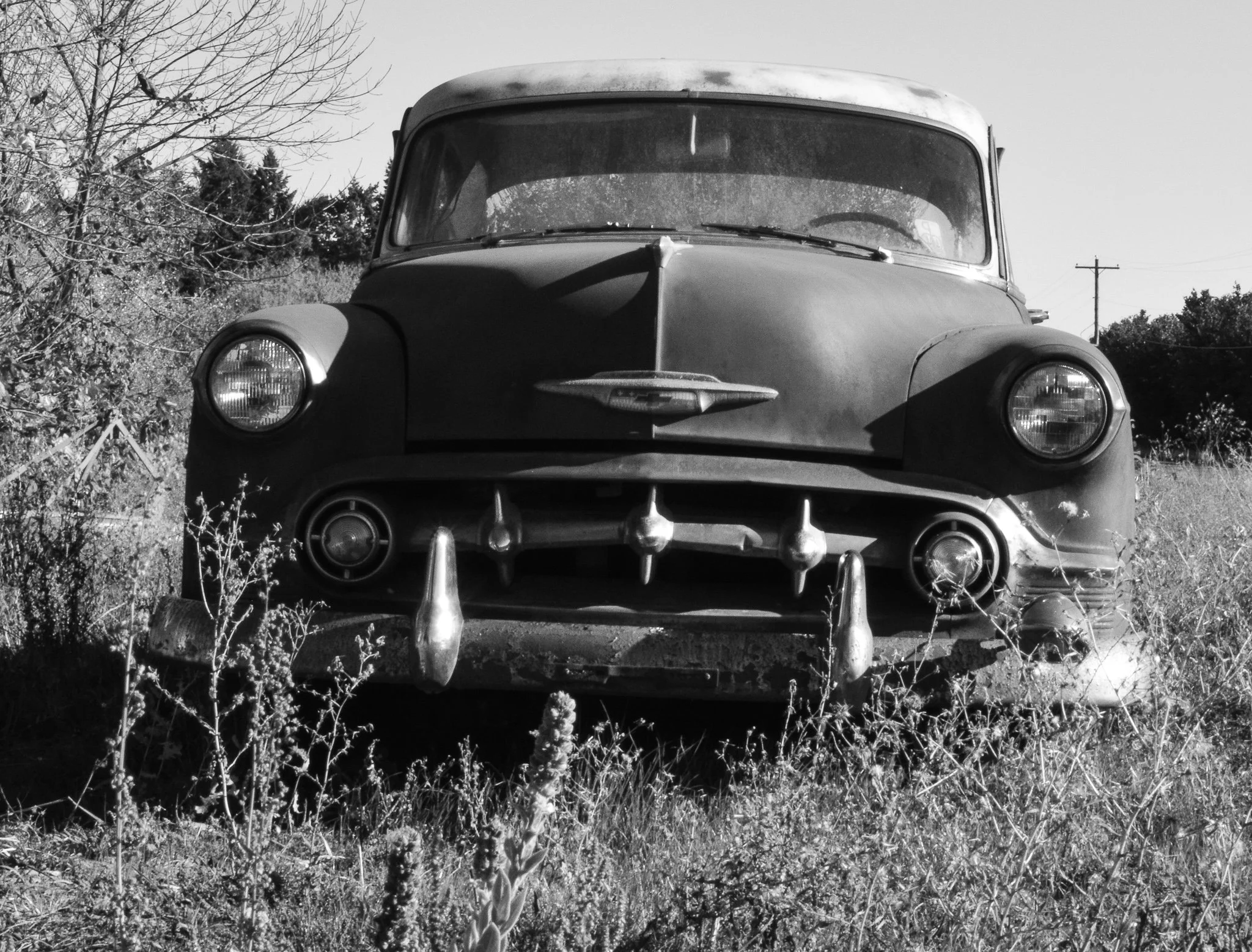 DSC_0080.jpg