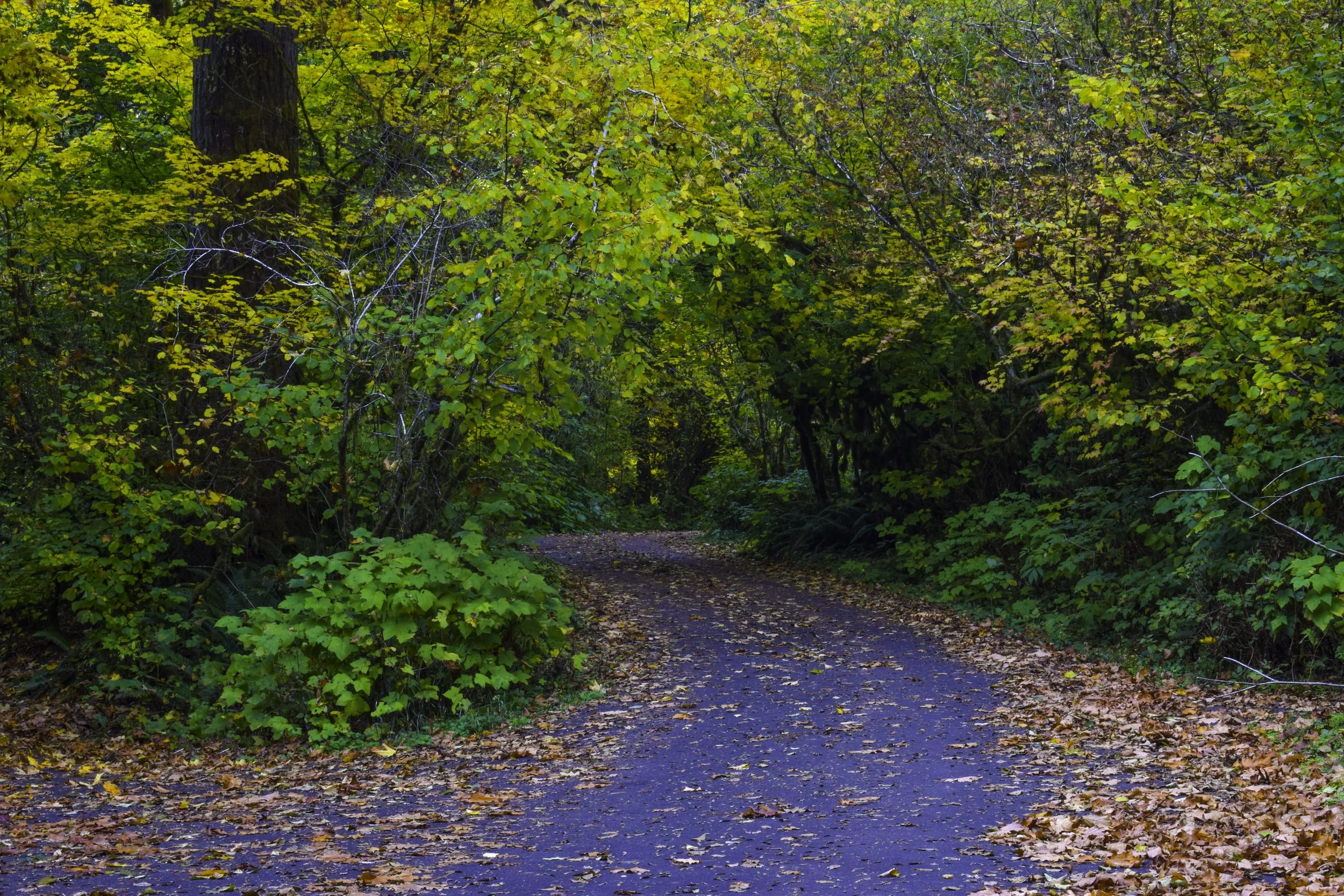 DSC_1889.jpg