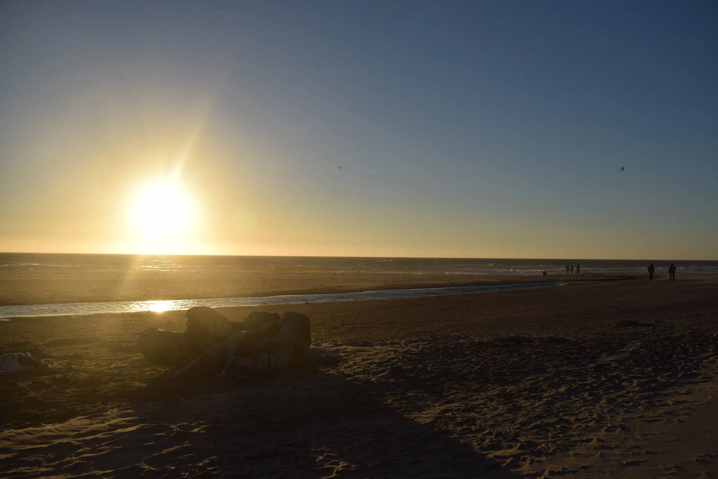 DSC_0748.JPG