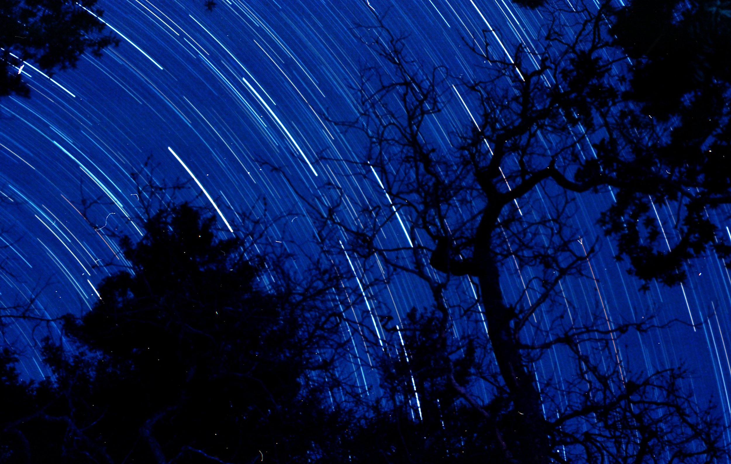 It Rains Time in Big Sur