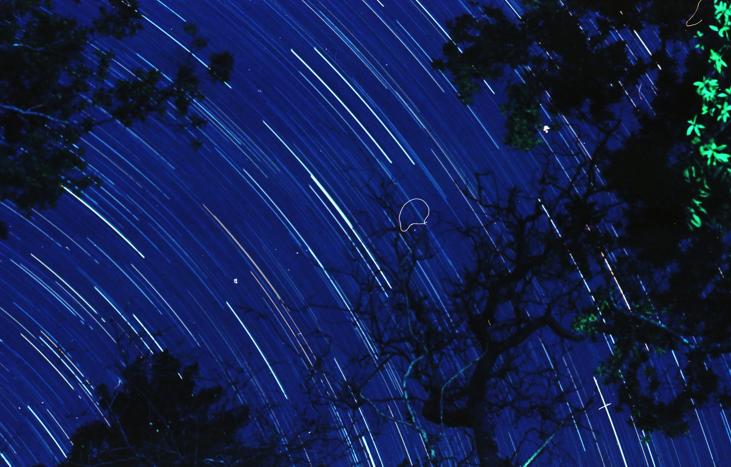 Star Trails over Big Sur #3