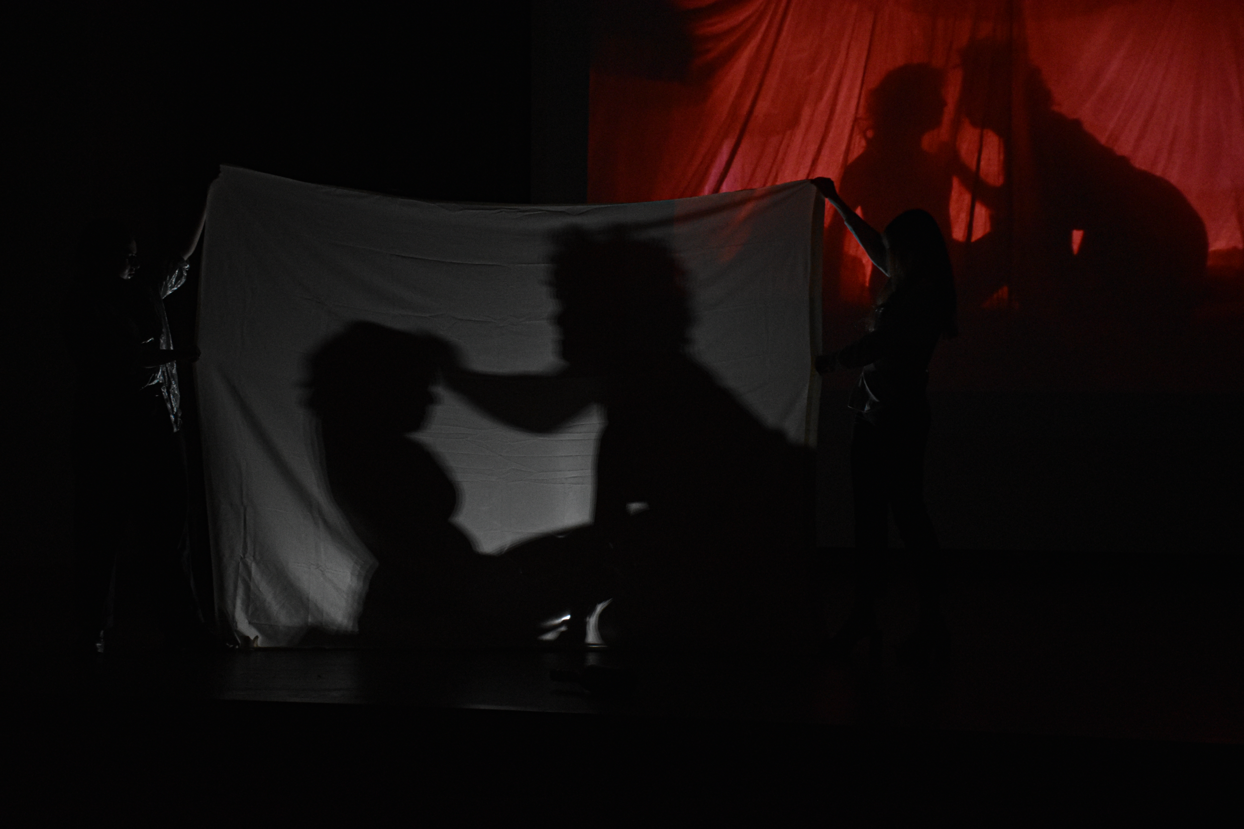 DSC_0039.png