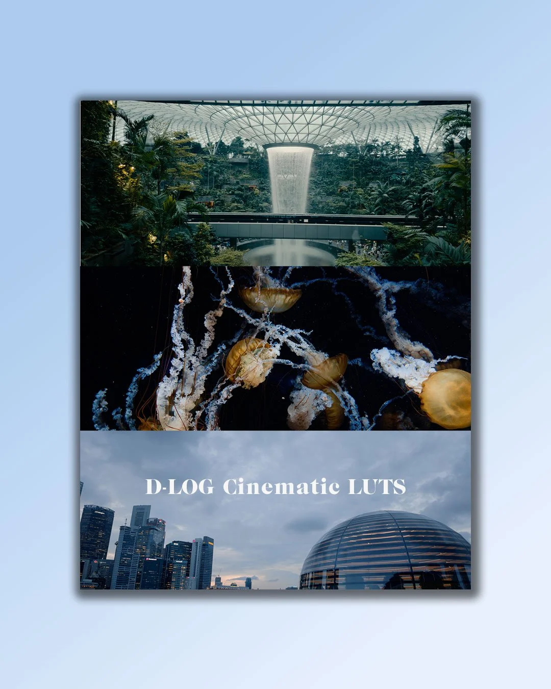 DLOG_Cinematic-LUTs.jpg