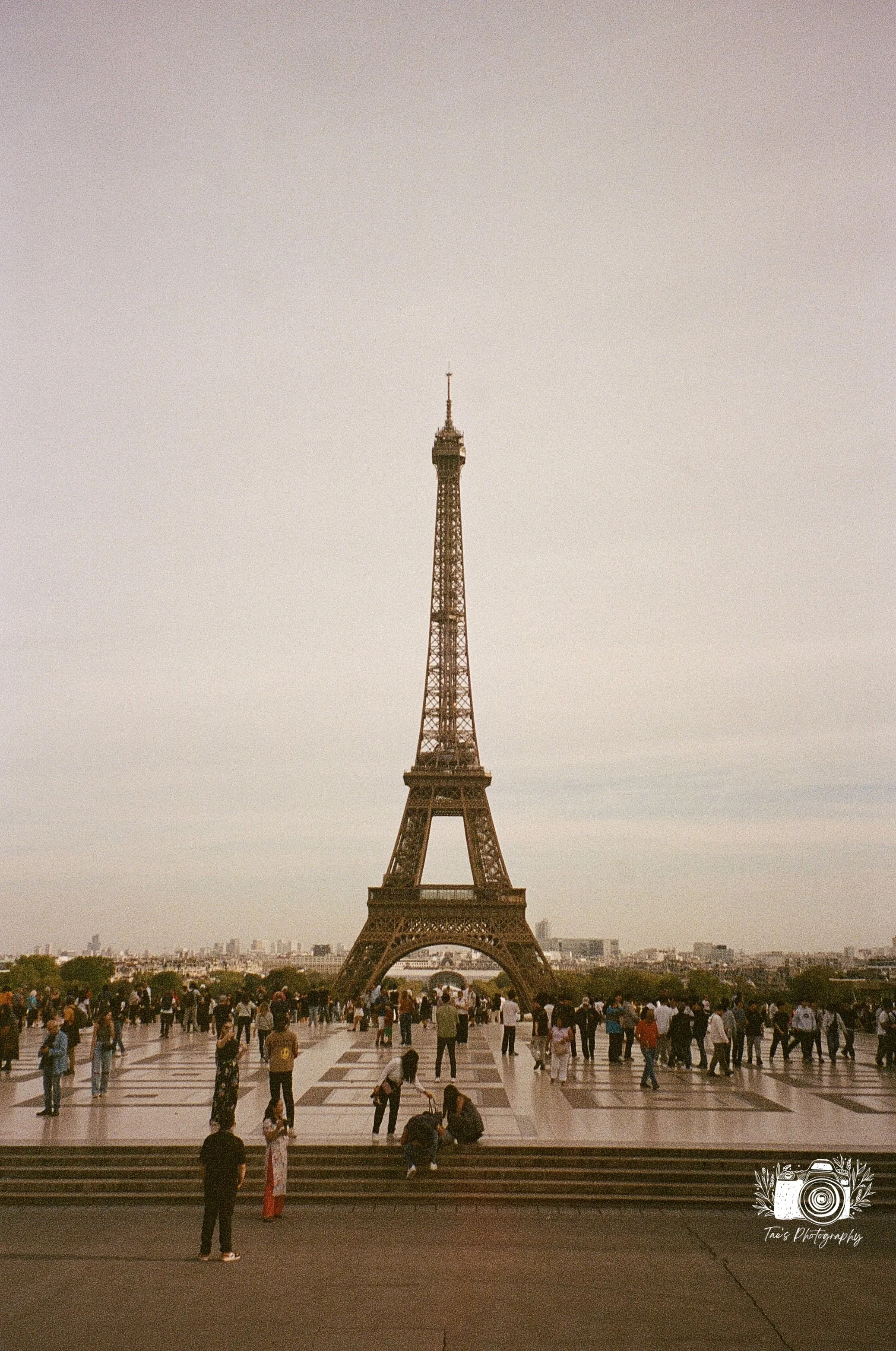 IMG_5547~photo.JPG