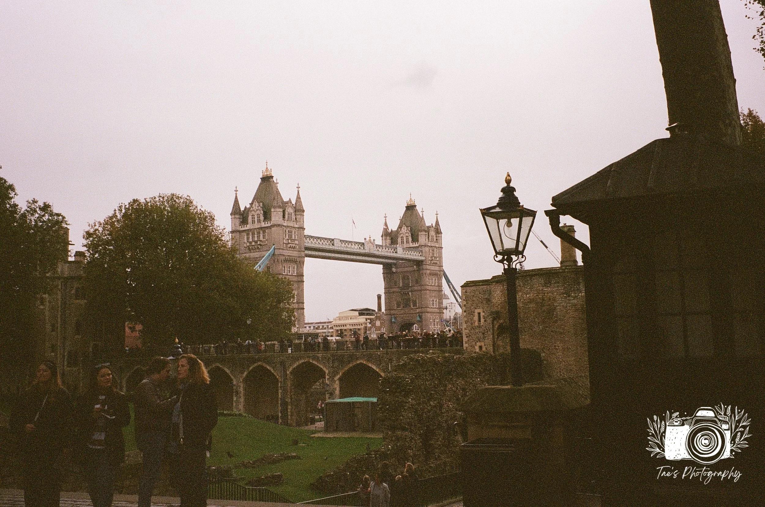 IMG_5637~photo.JPG