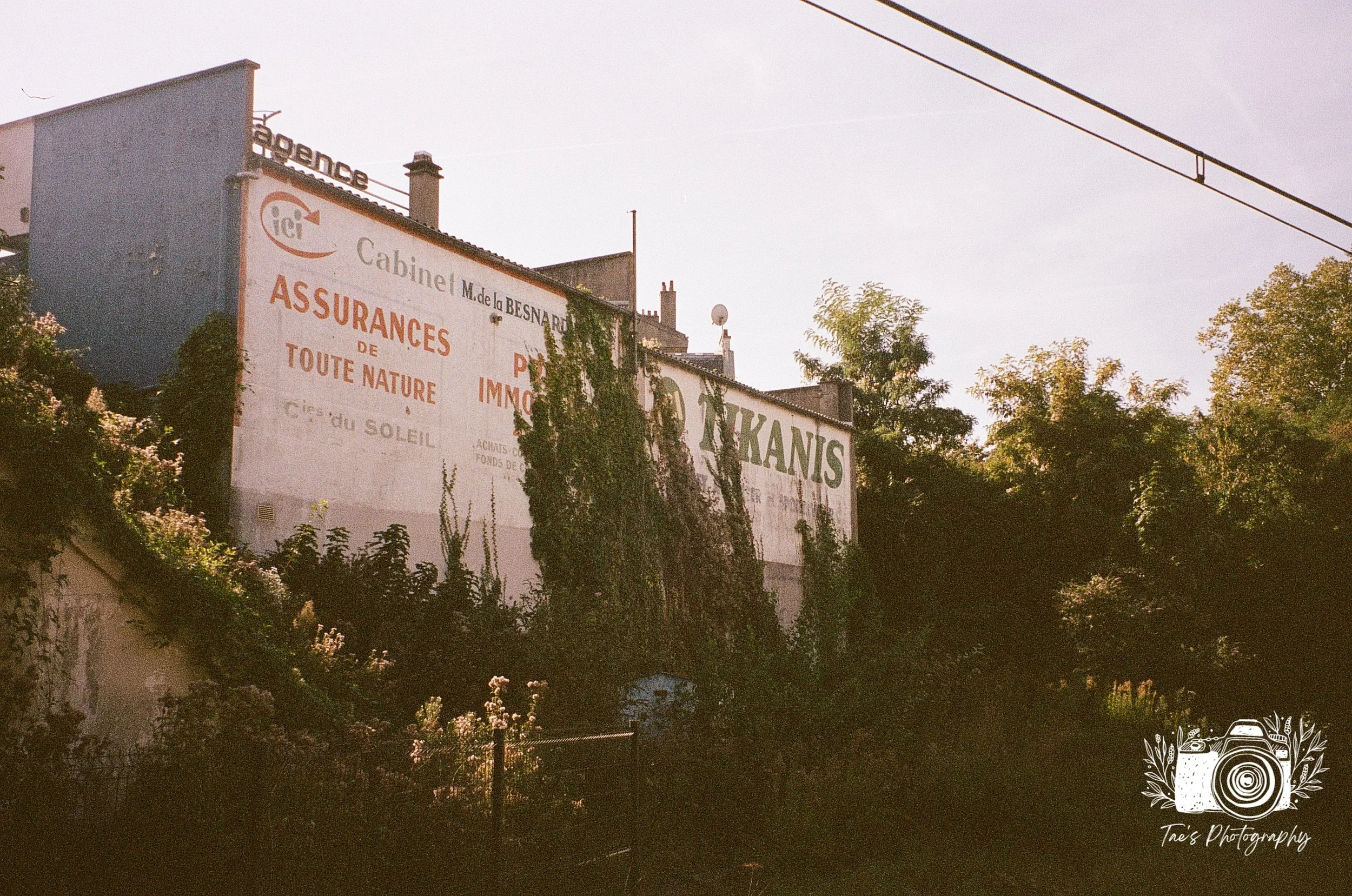 IMG_5586~photo.JPG