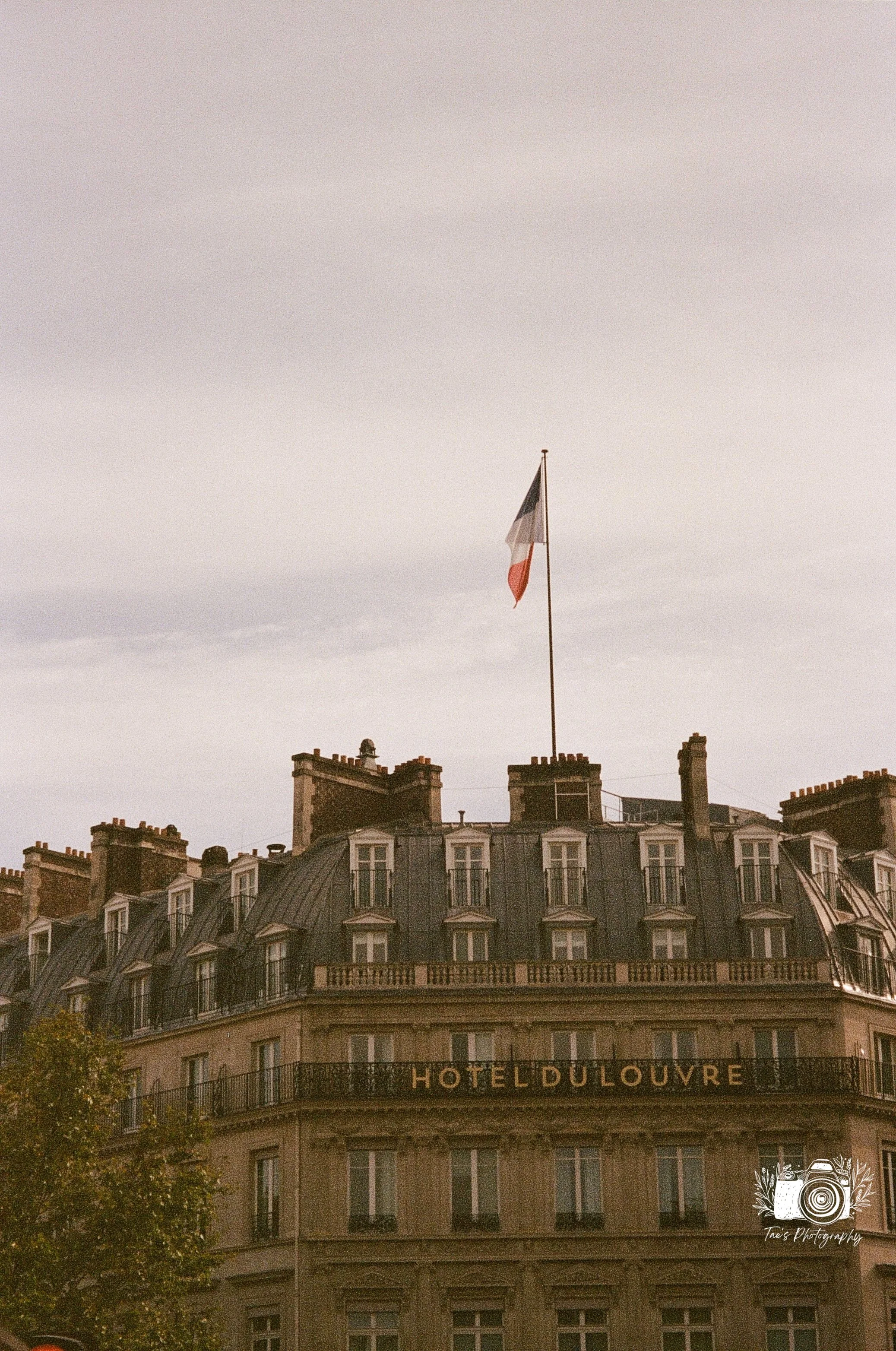 IMG_5541~photo.JPG