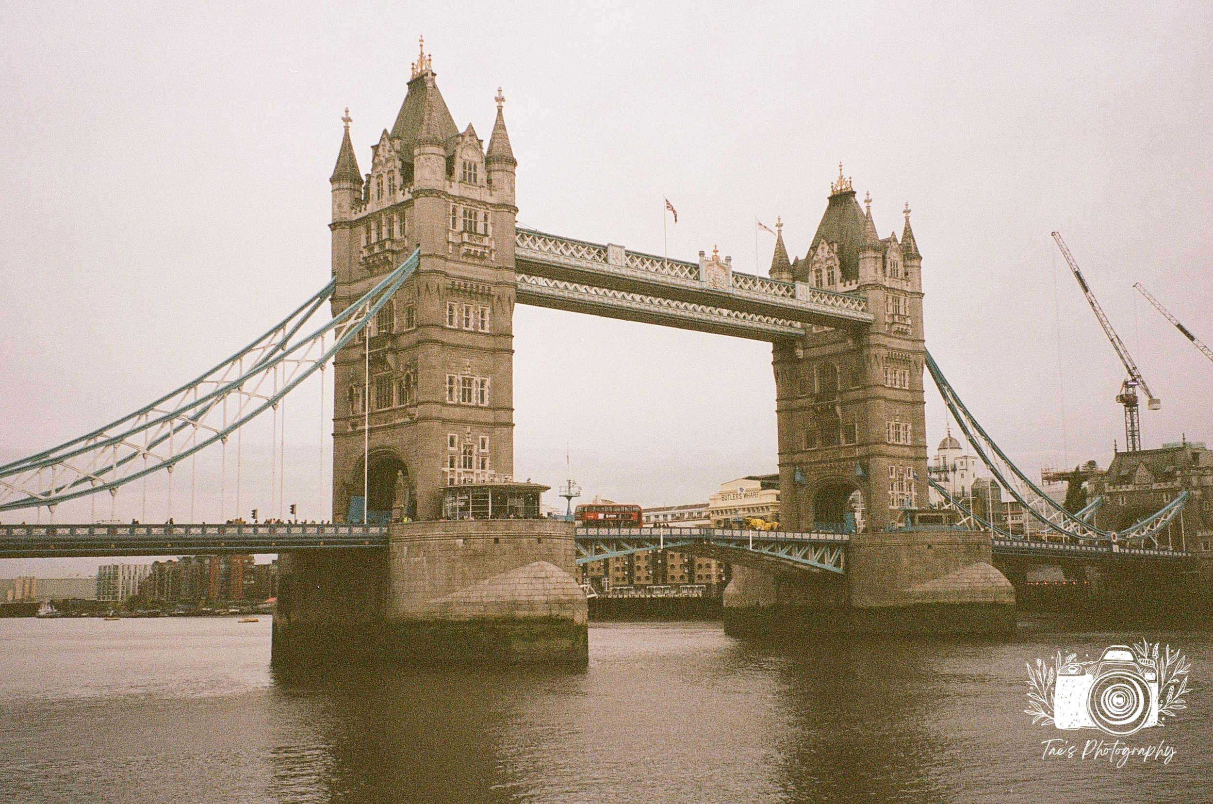 IMG_5640~photo.JPG