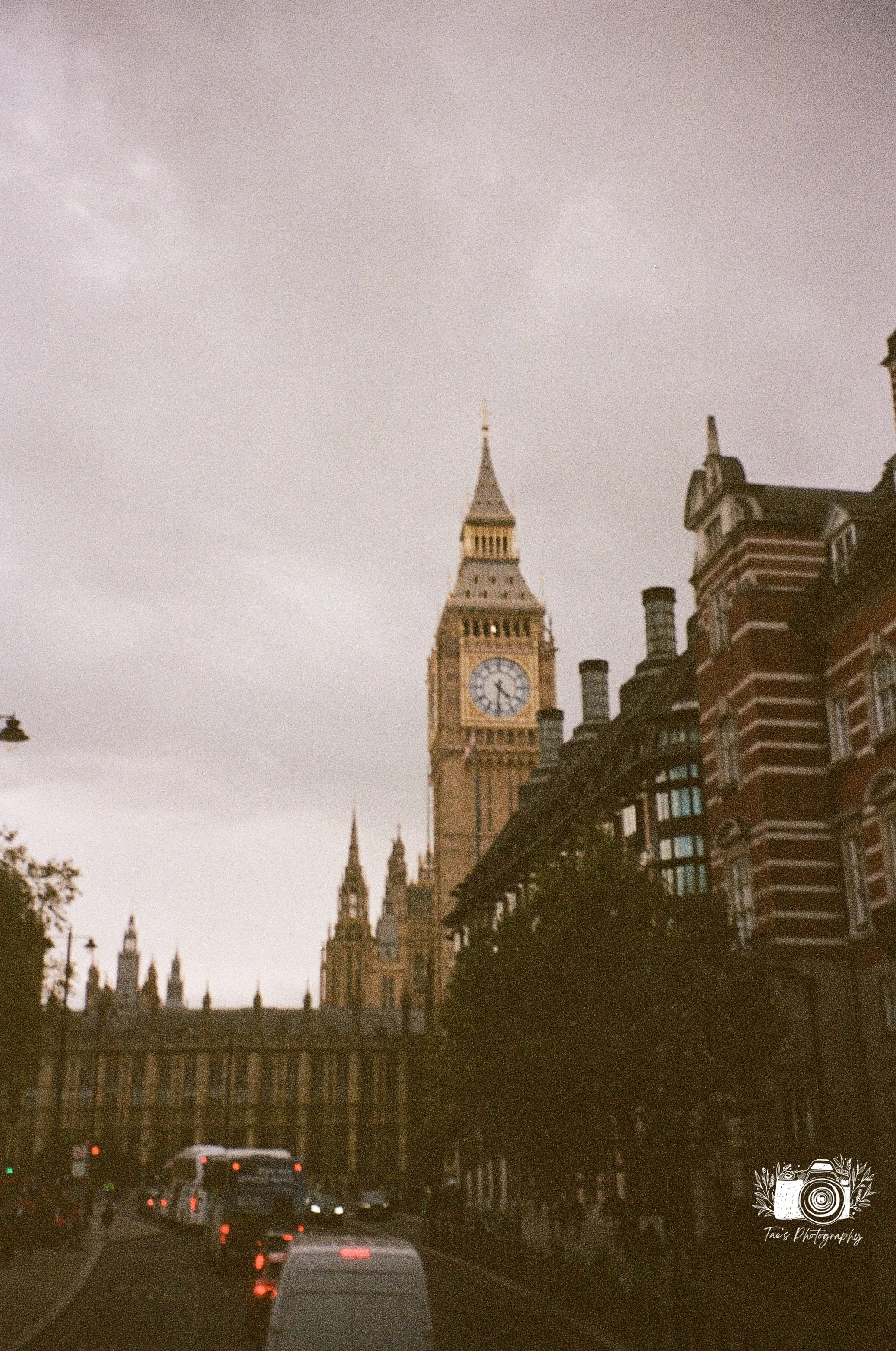 IMG_5517~photo.JPG