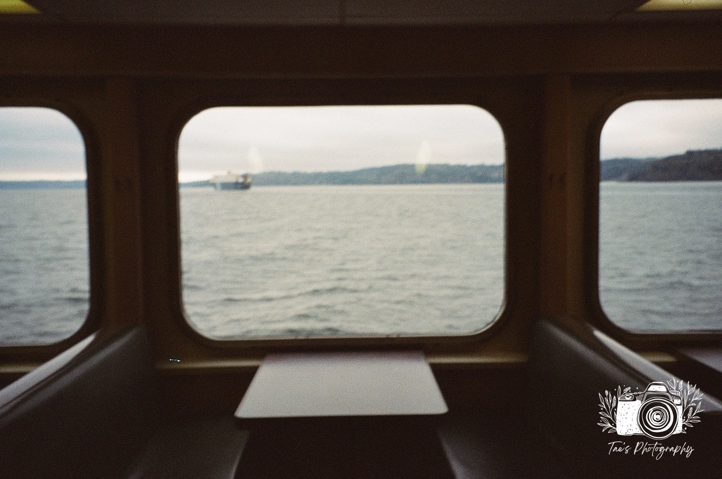IMG_6008~photo.JPG