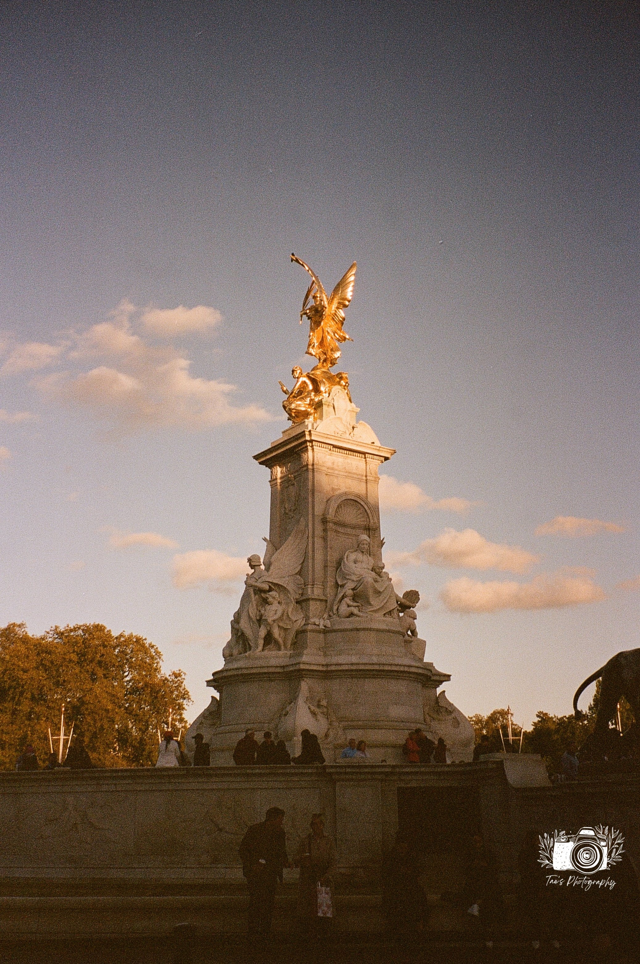 IMG_5524~photo.JPG
