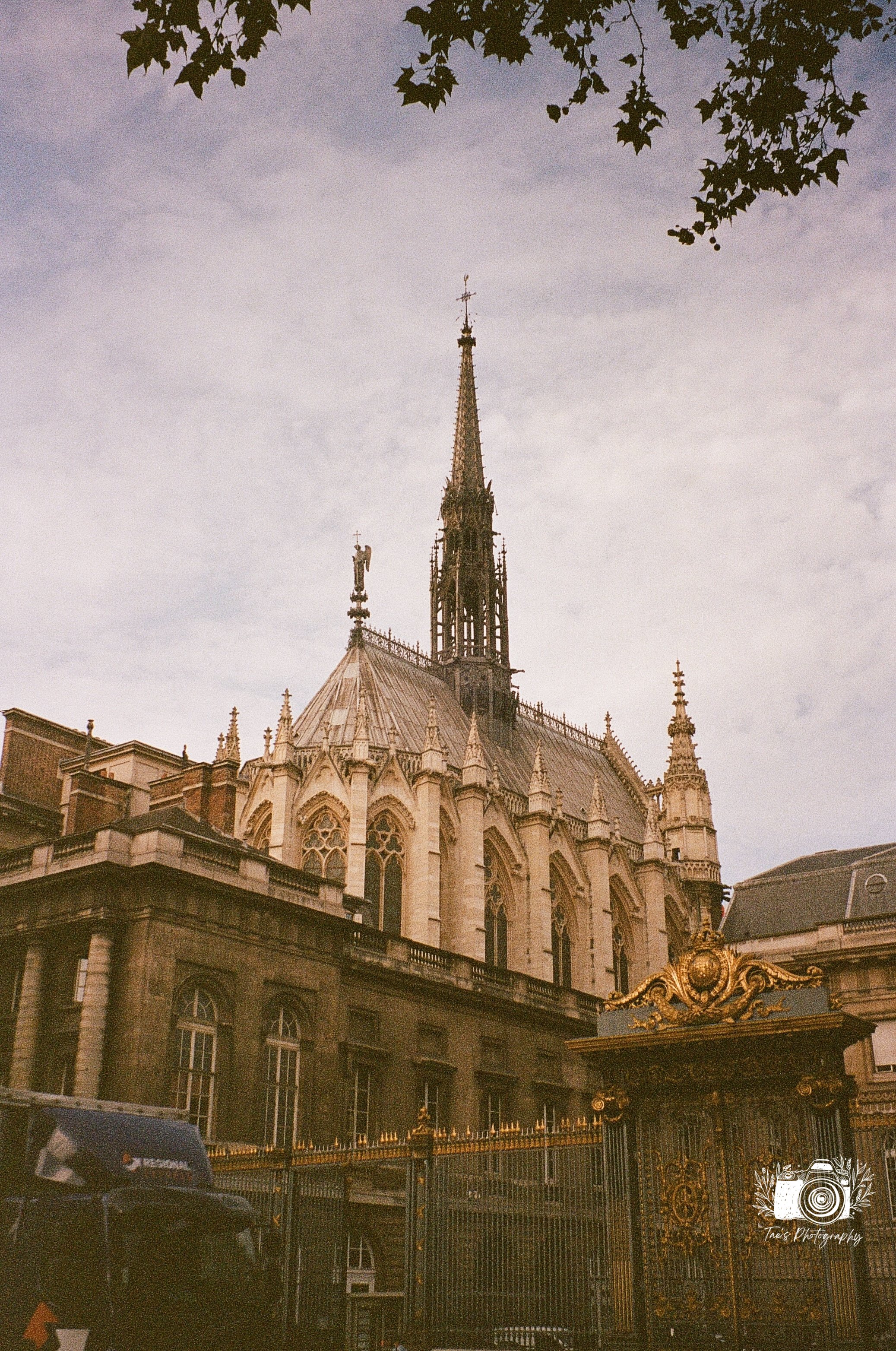IMG_5488~photo.JPG