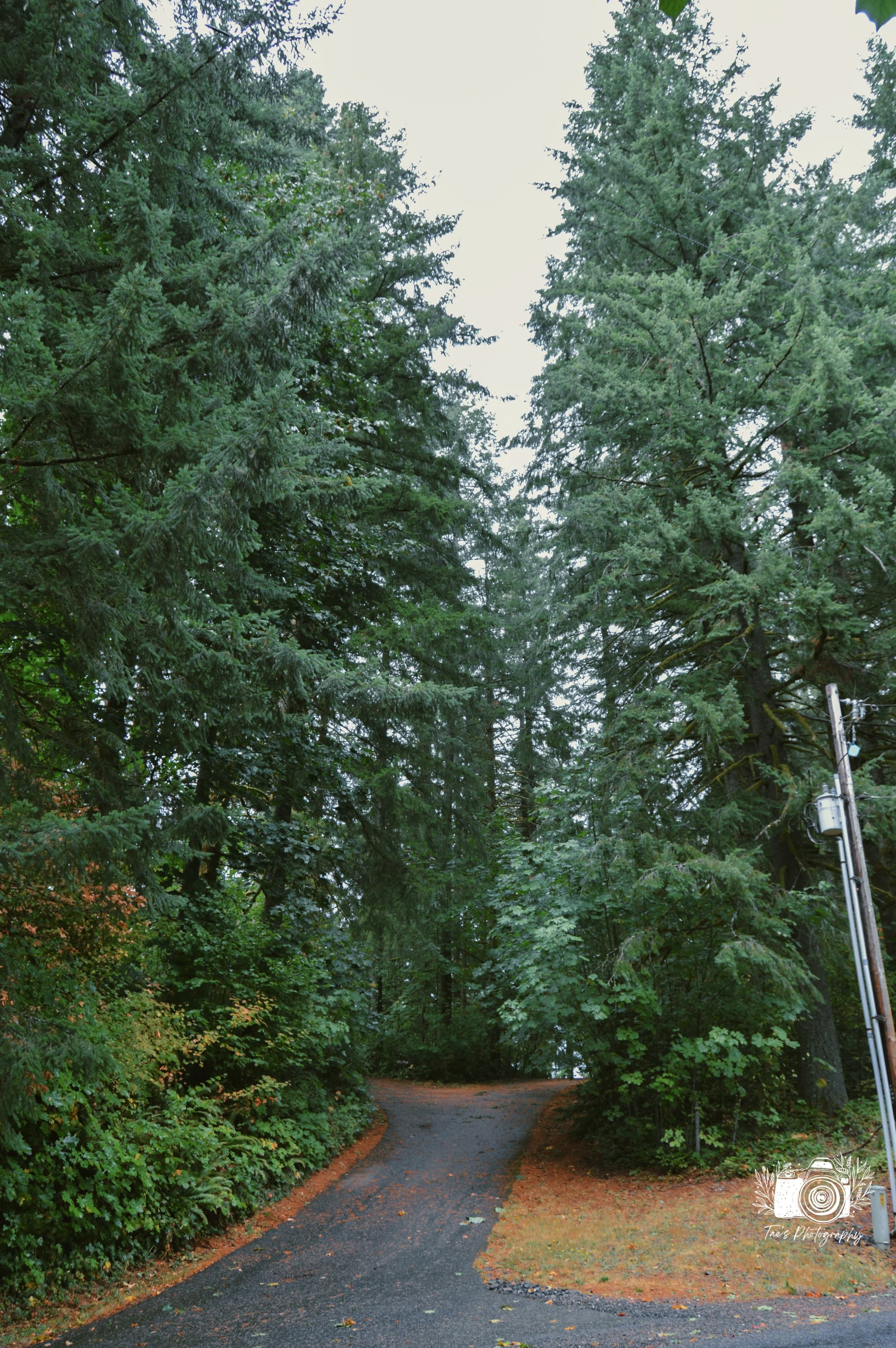 IMG_6479~photo.JPG