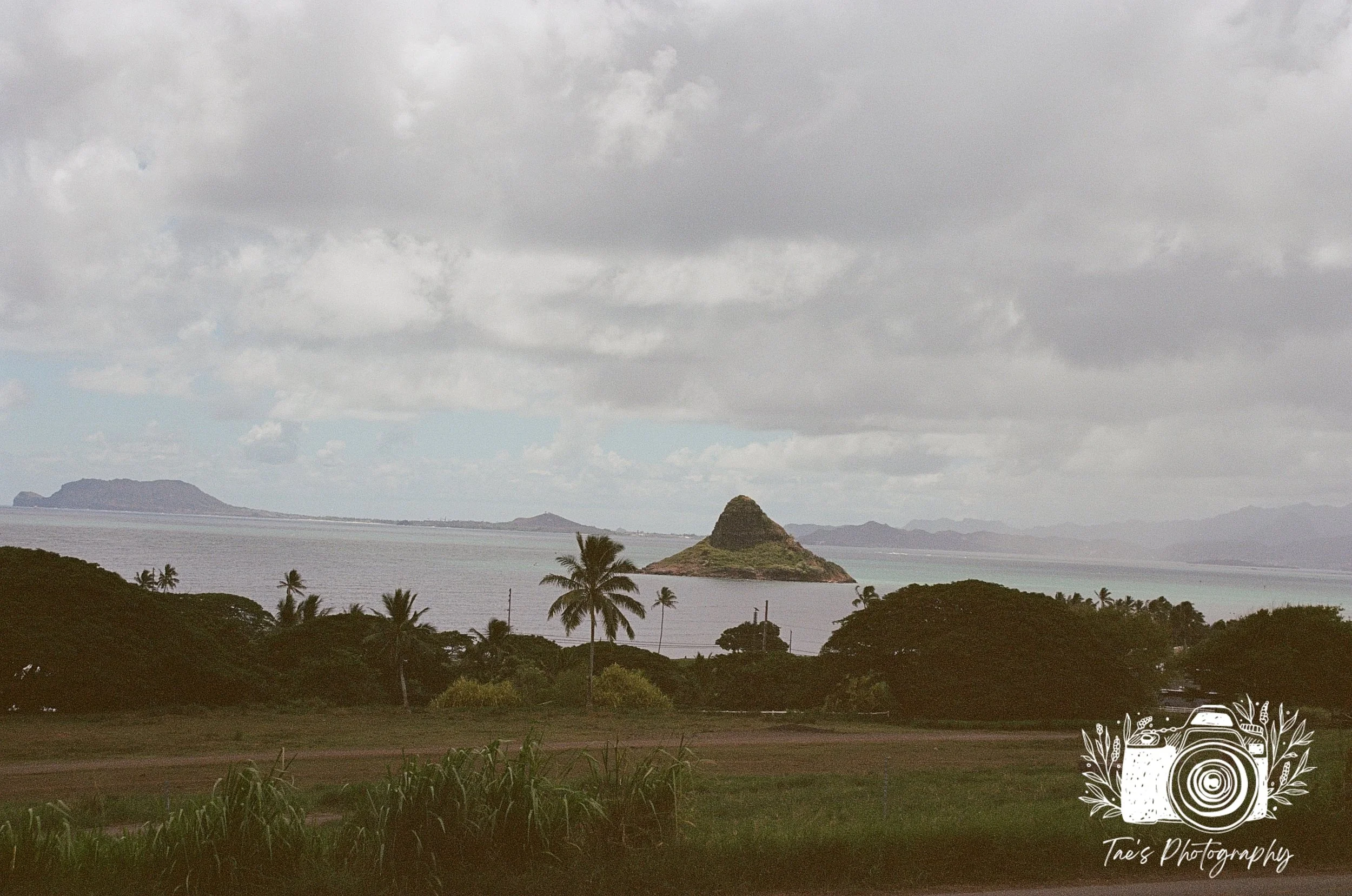 IMG_4958~photo.JPG