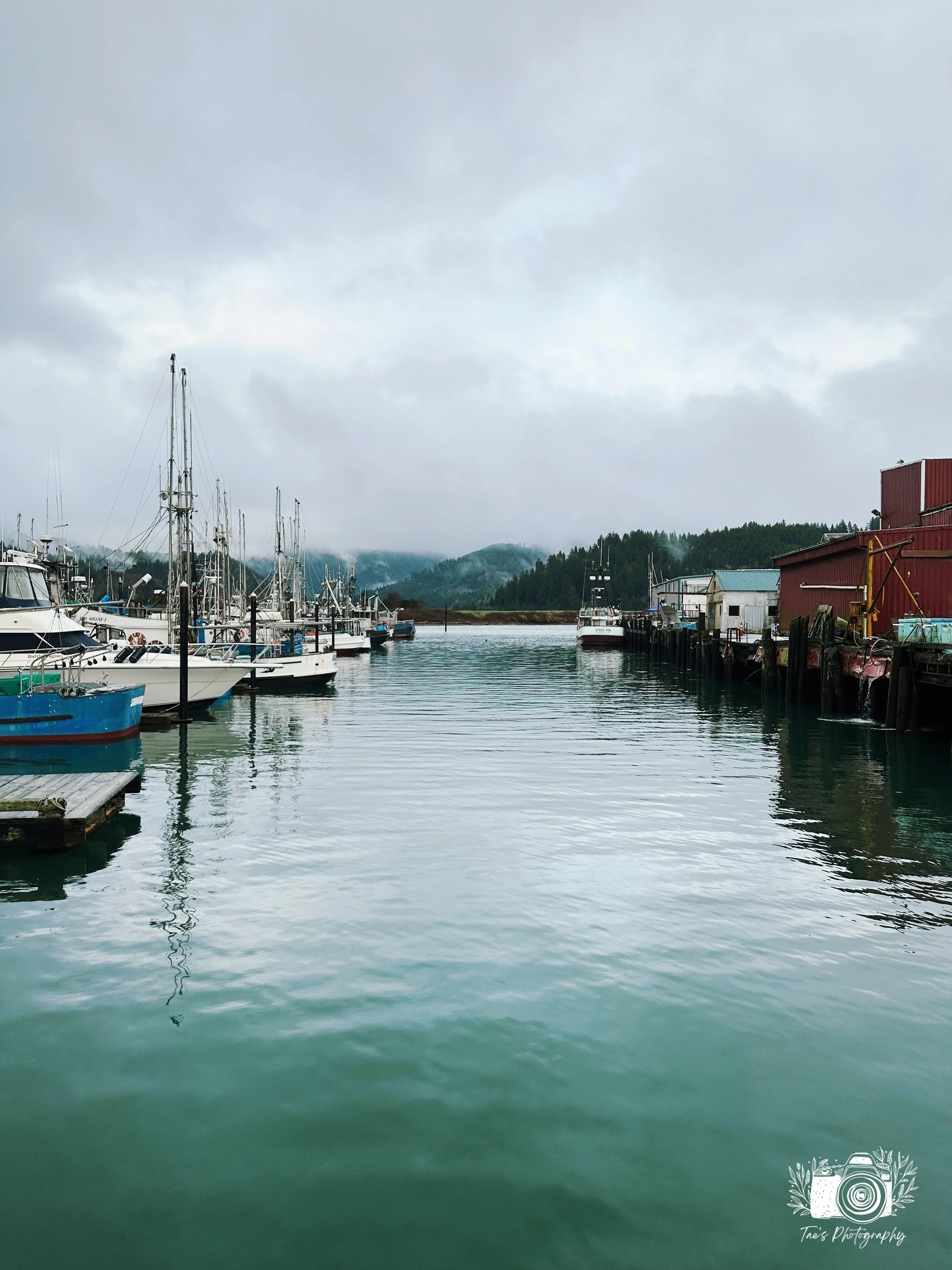IMG_6133~photo.JPG