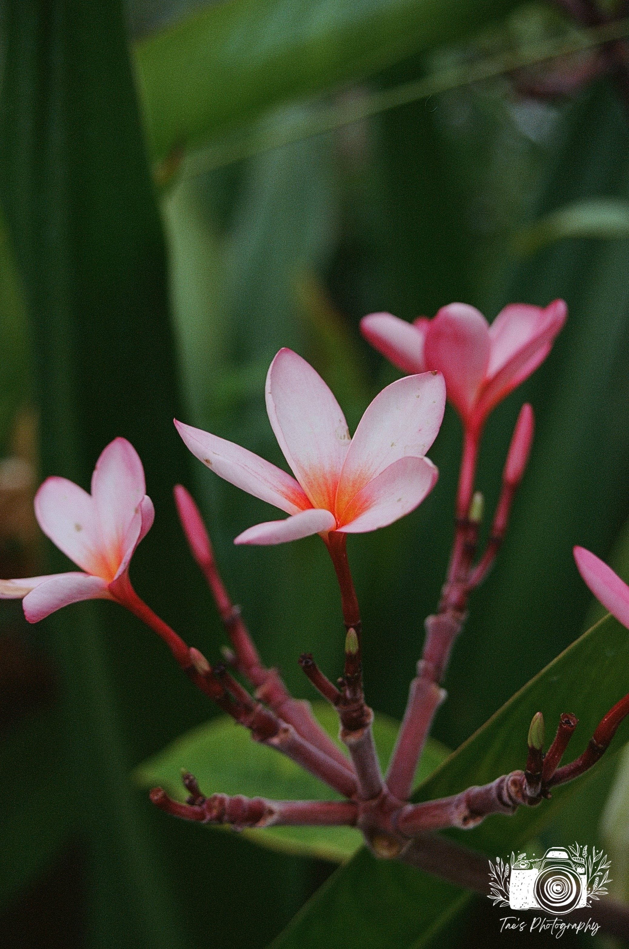 IMG_4935~photo.JPG