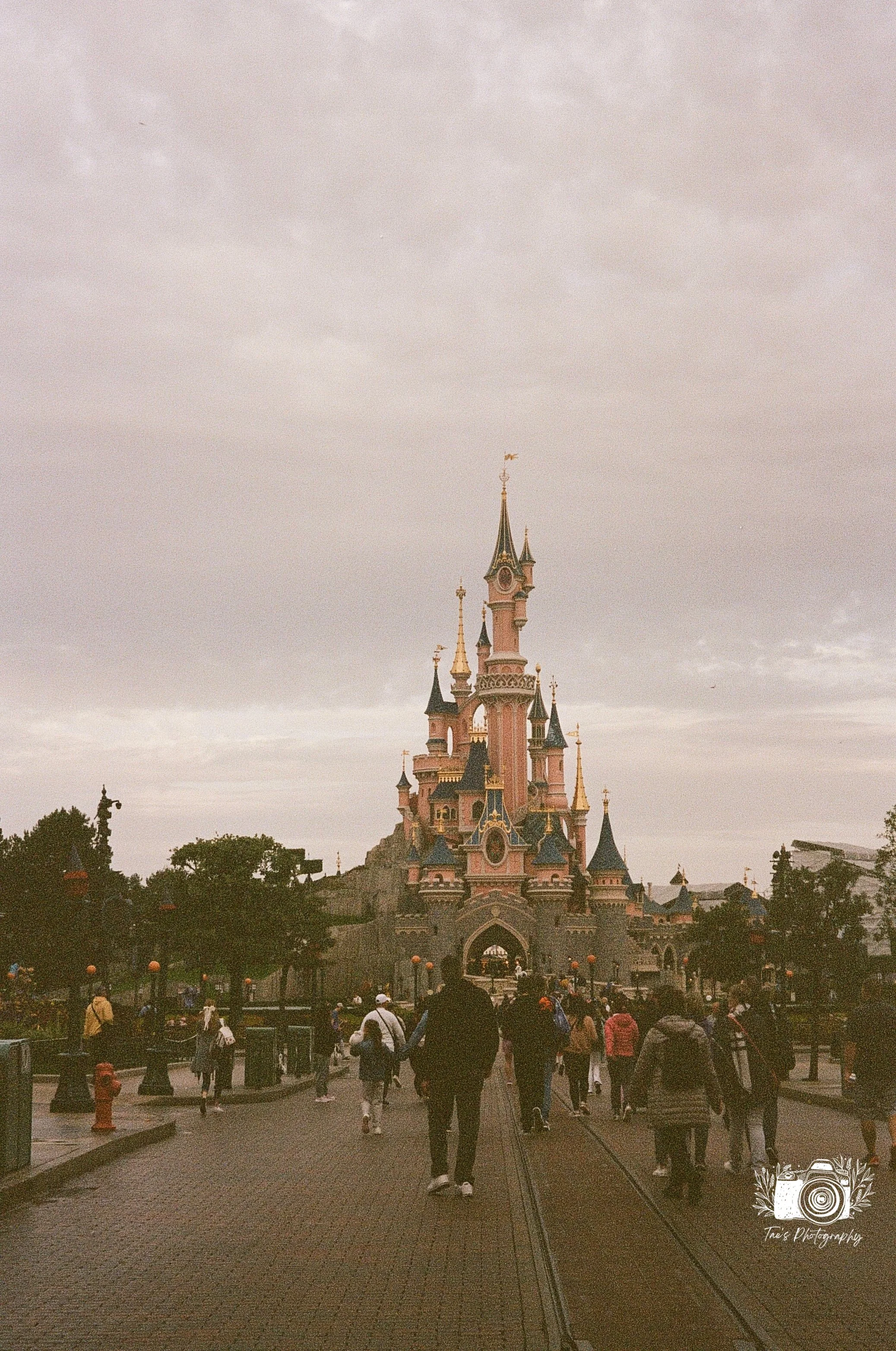 IMG_5516~photo.JPG