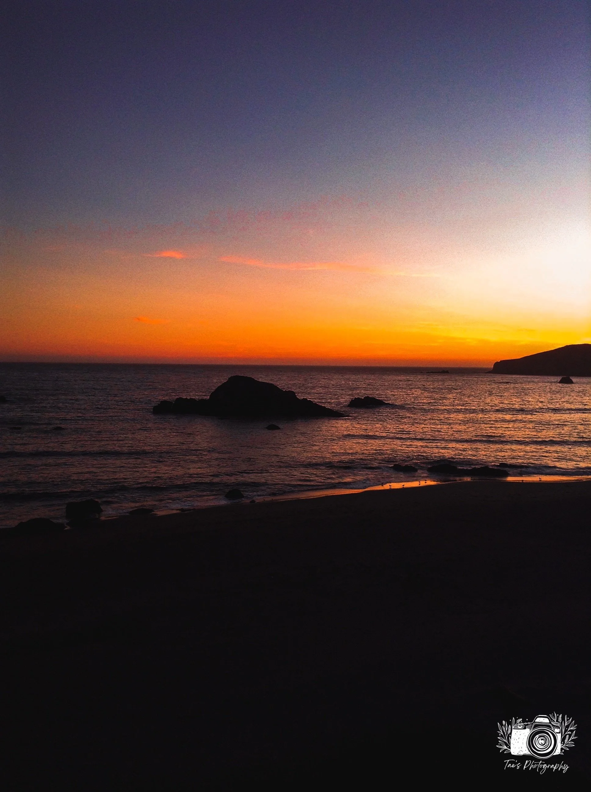 IMG_6459~photo.JPG