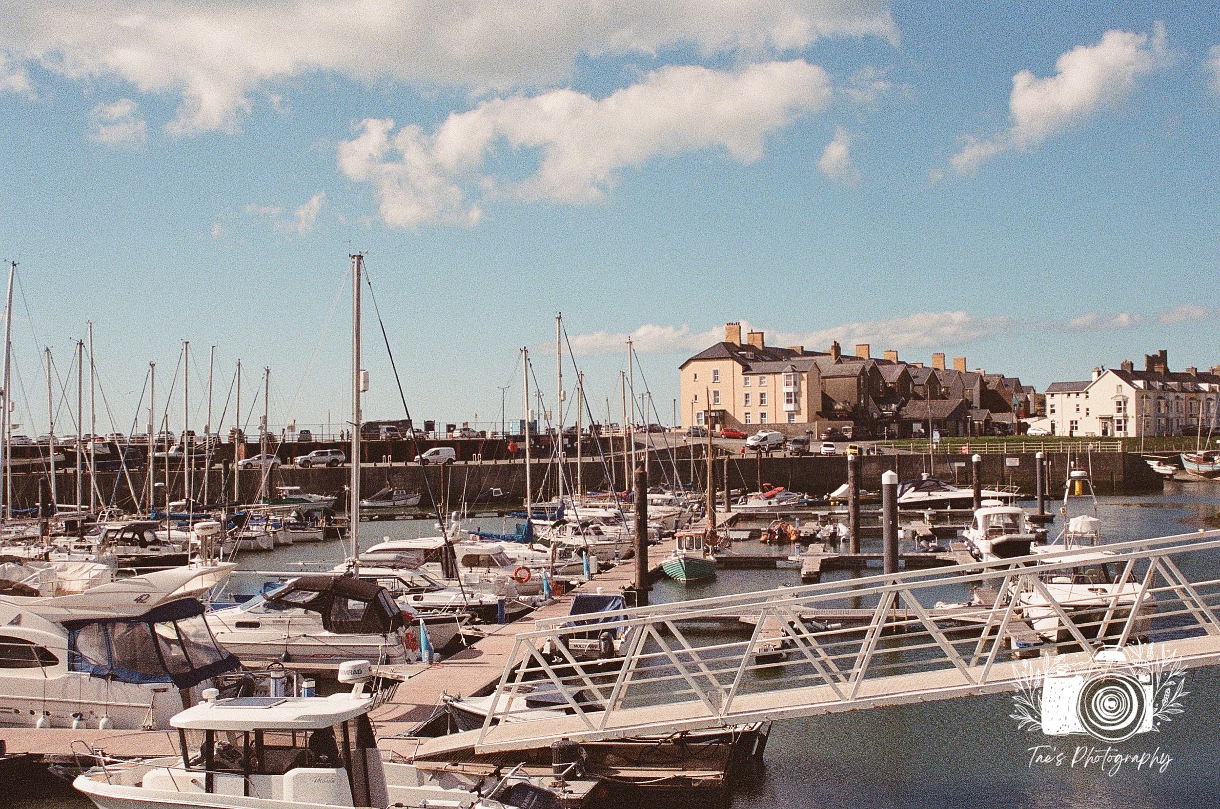 IMG_5991~photo.JPG