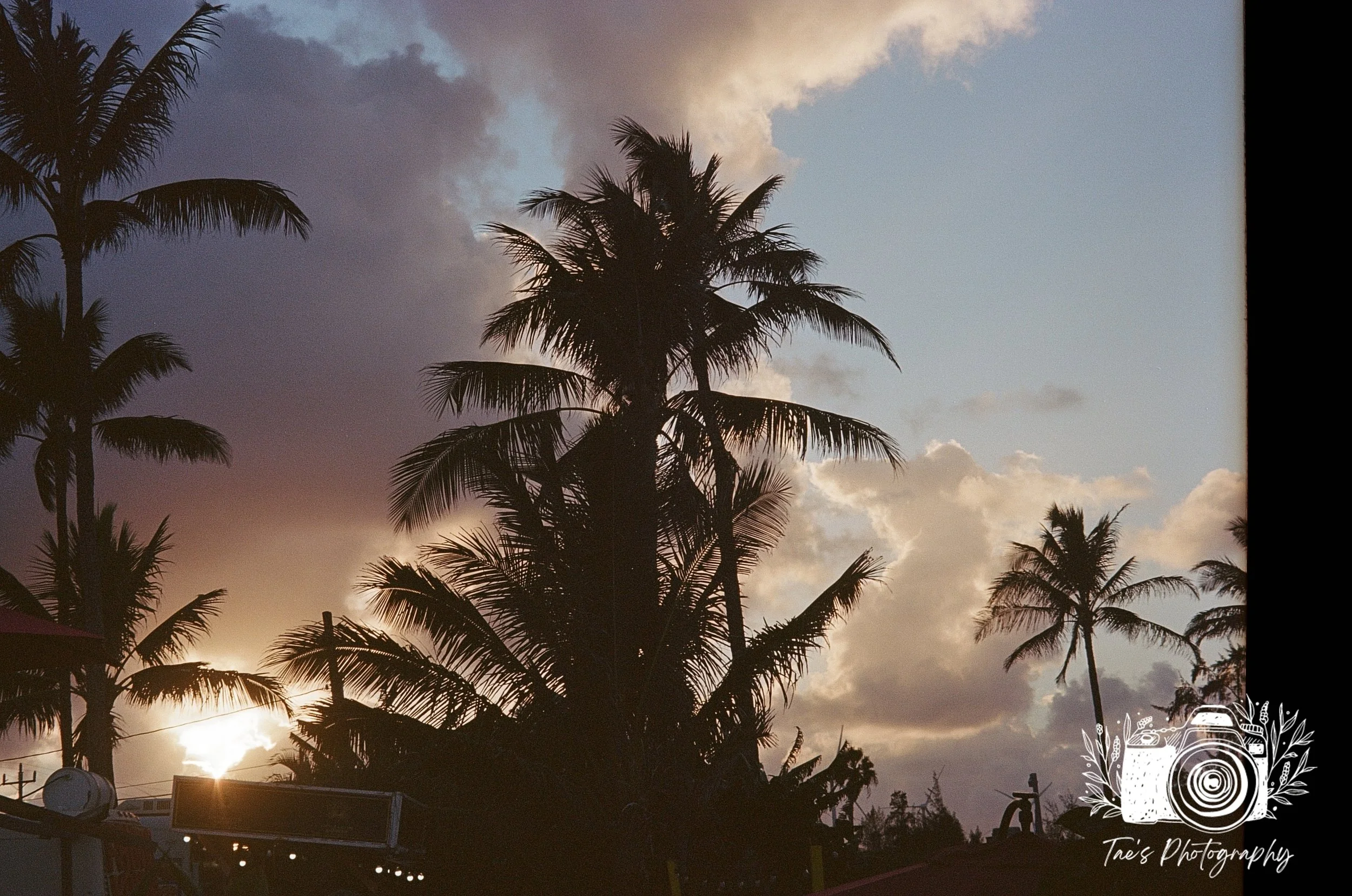 IMG_4950~photo.JPG